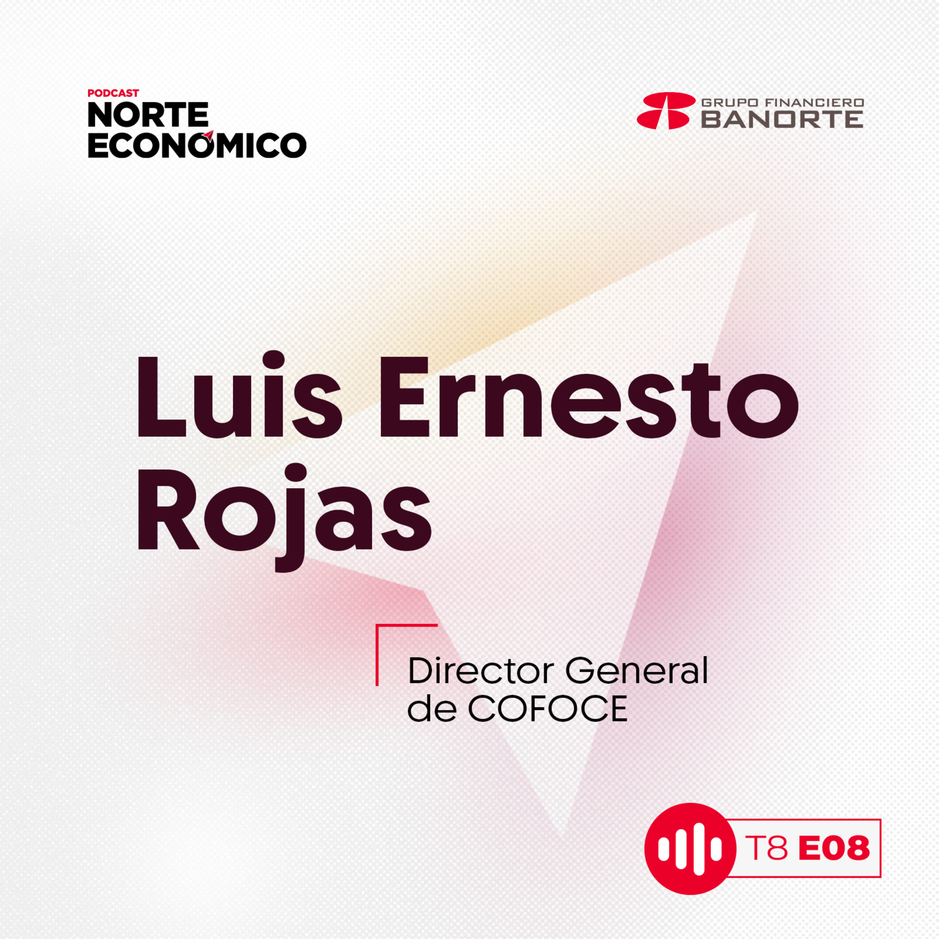 Innershoring: El impulso a las MiPYMES, clave para el desarrollo económico de México episode artwork