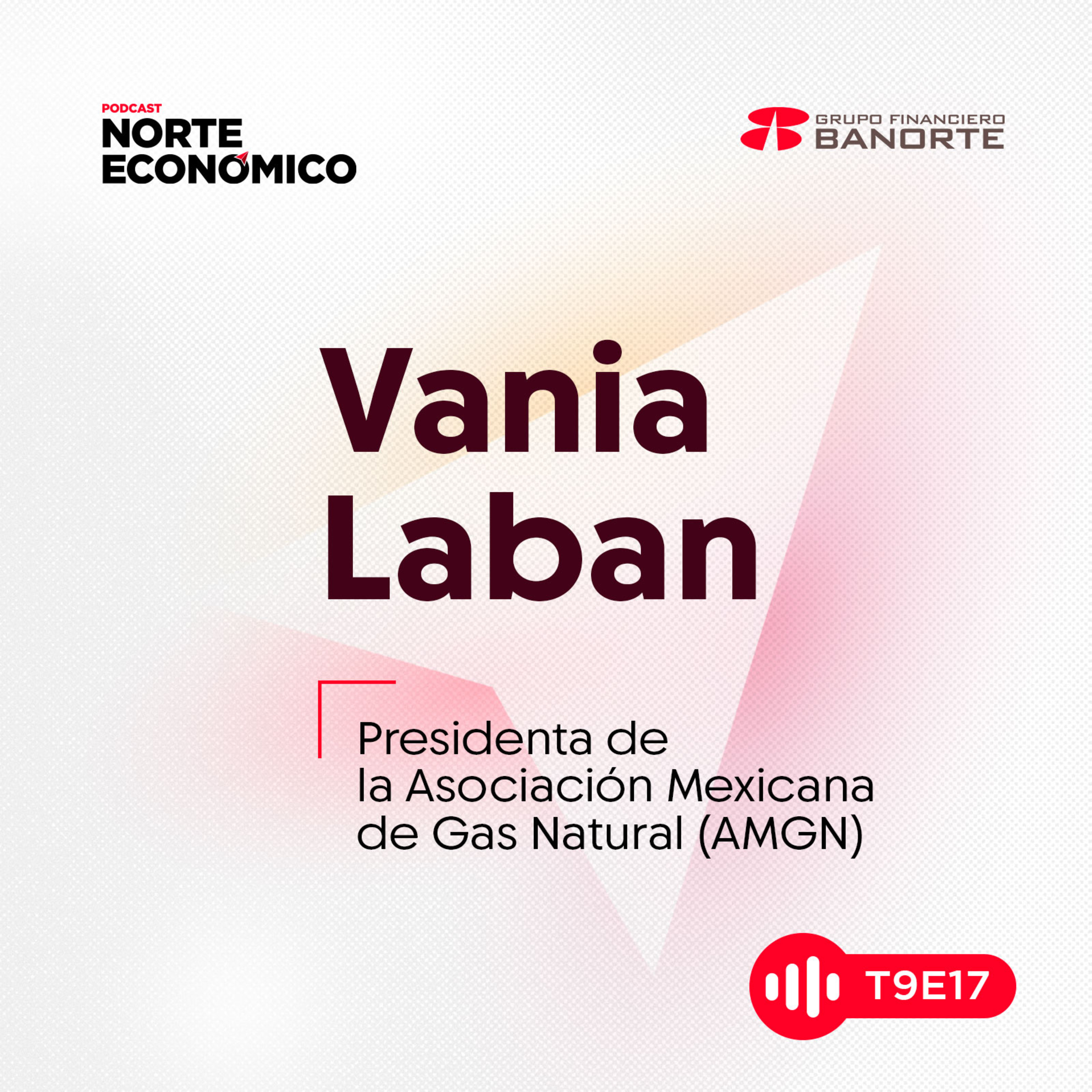 T9 E18 Gas natural en México: clave para la transición energética y el desarrollo regional episode artwork