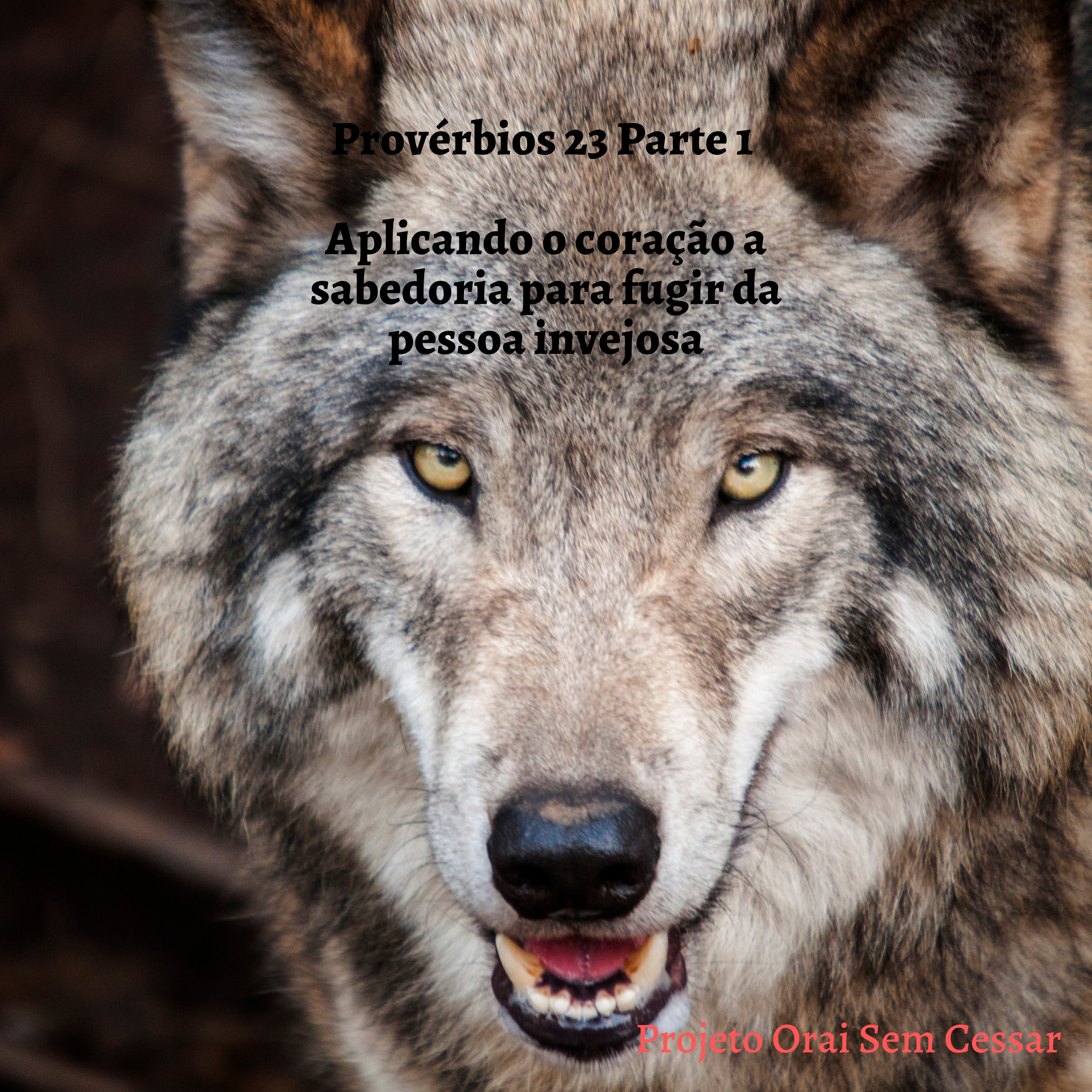 Provérbios 23 parte 1 Aplicando o coração à sabedoria episode artwork