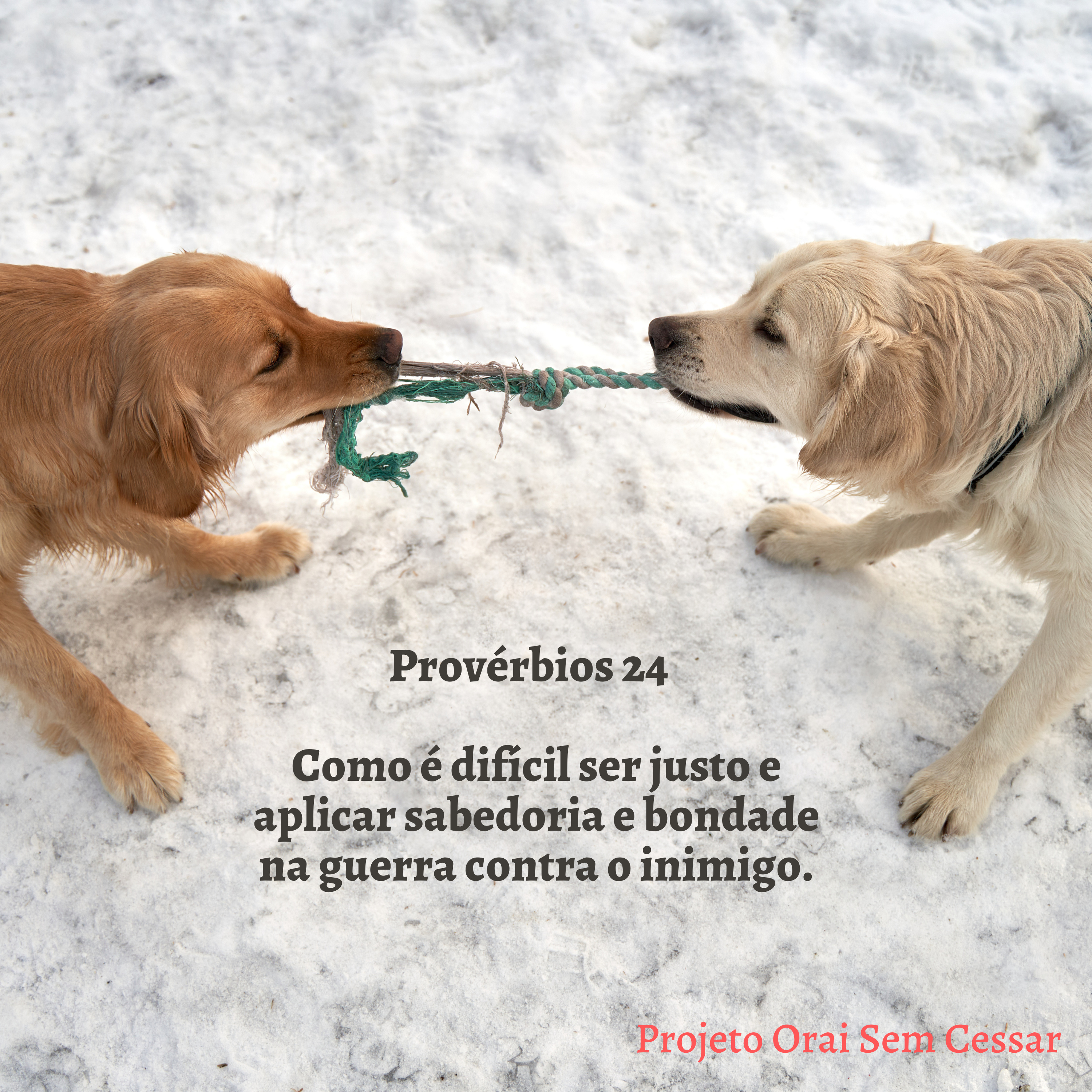 Provérbios 24 parte 1 Como é difícil ser justo e aplicar sabedoria e bondade na guerra contra o inimigo.  episode artwork