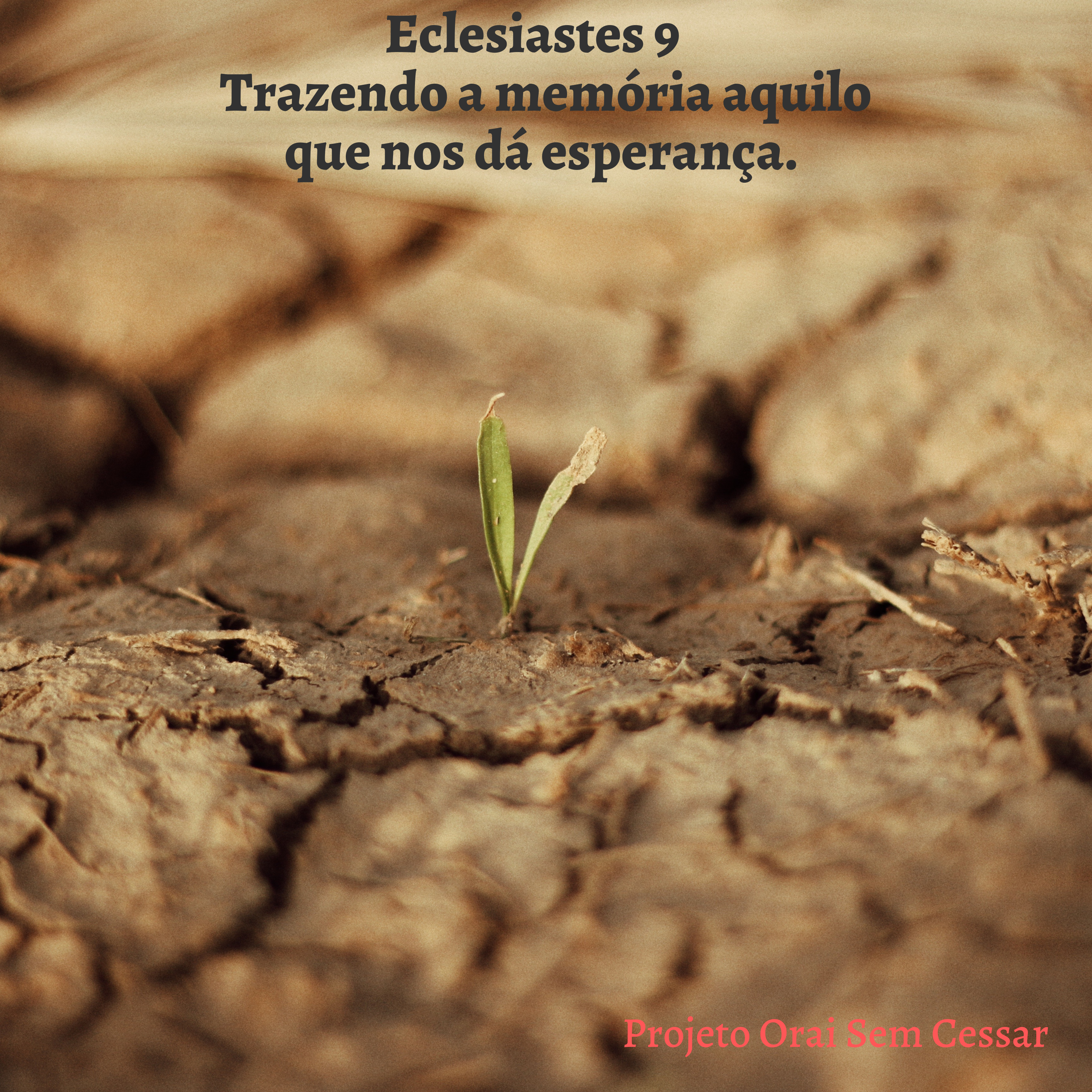 Eclesiastes 9. Trazendo a memória aquilo que nos dá esperança.  episode artwork