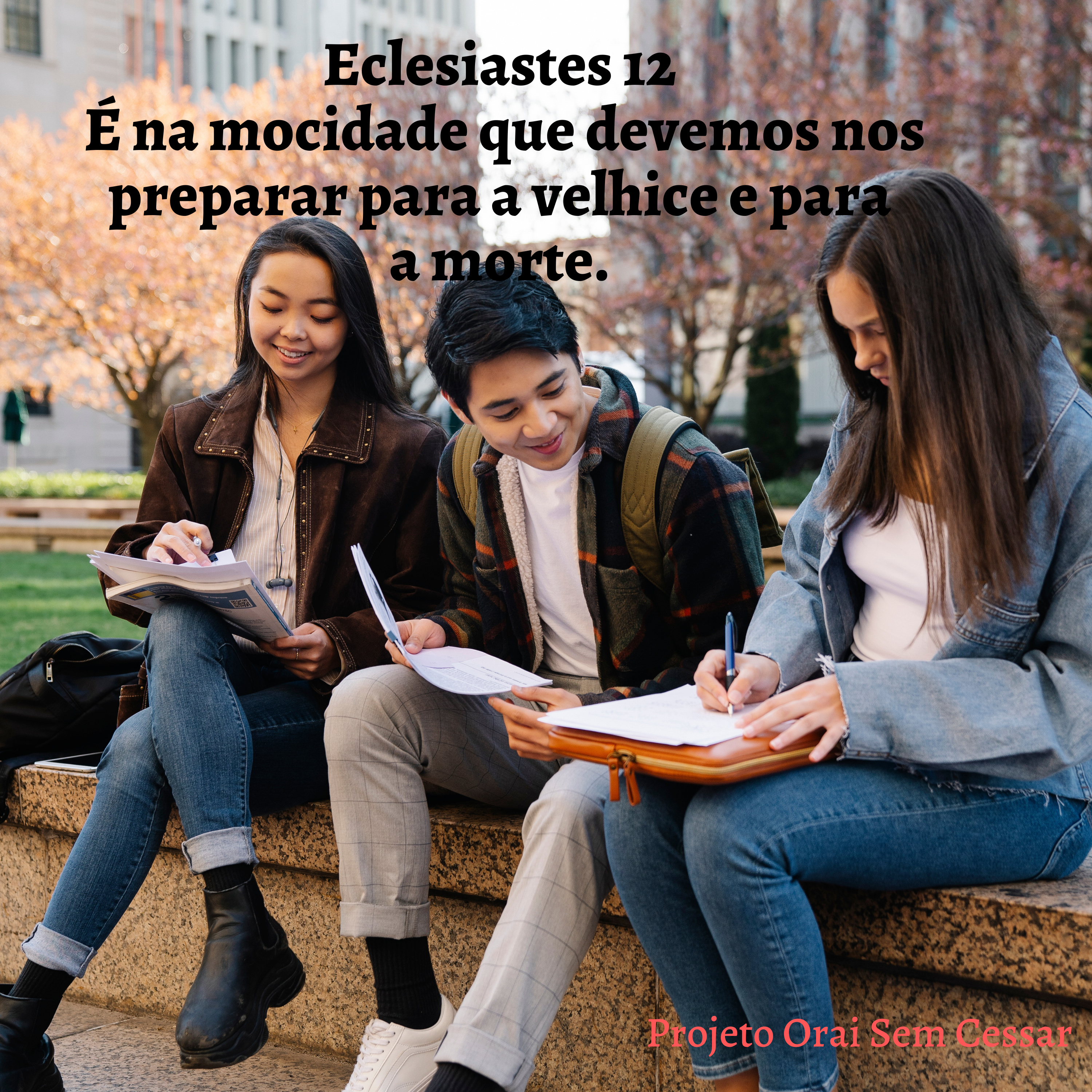 Eclesiastes 12. É na mocidade que devemos nos preparar para a velhice e para a morte.  episode artwork