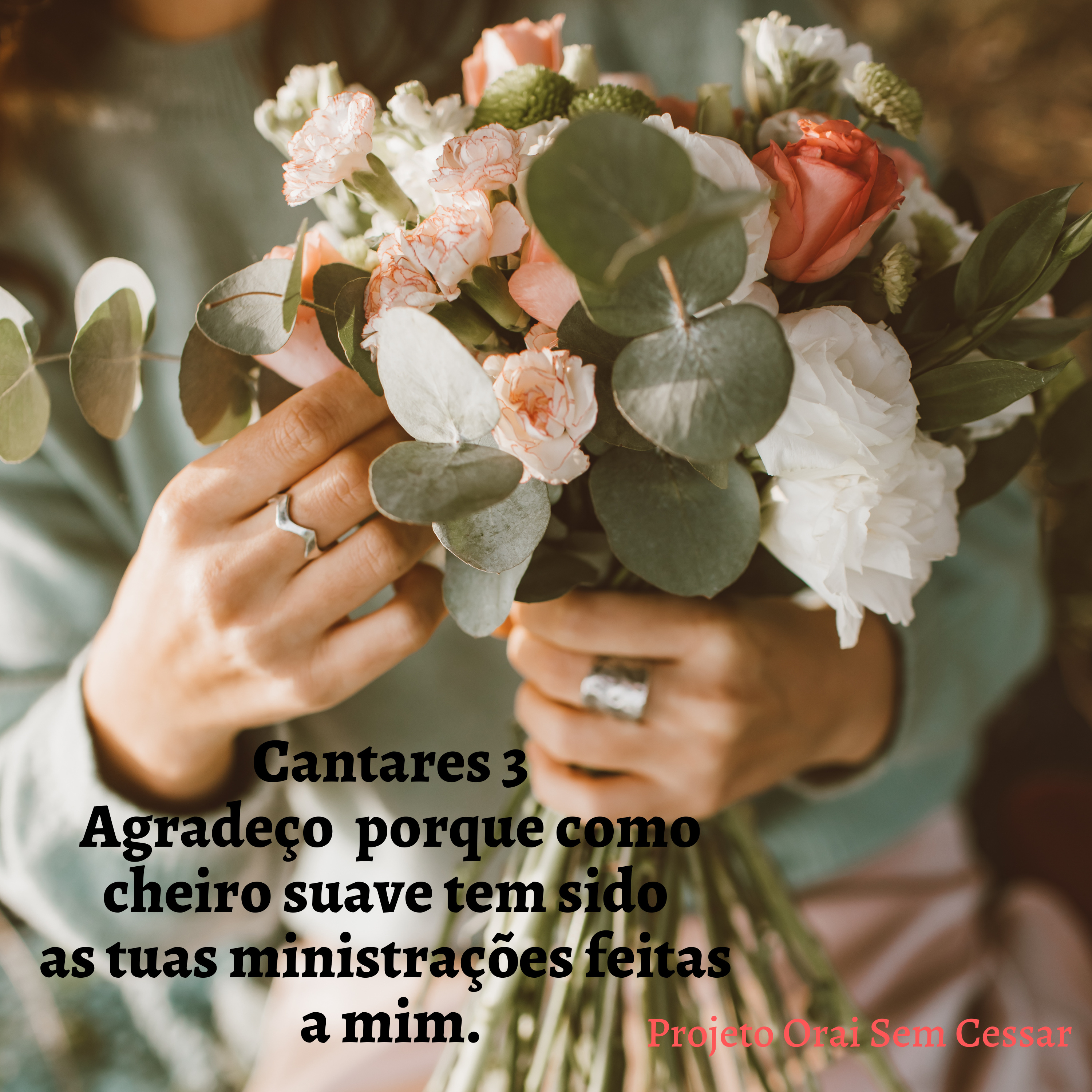Cantares 3 - Agradeço porque como cheiro suave tem sido as tuas ministrações feitas a mim. episode artwork