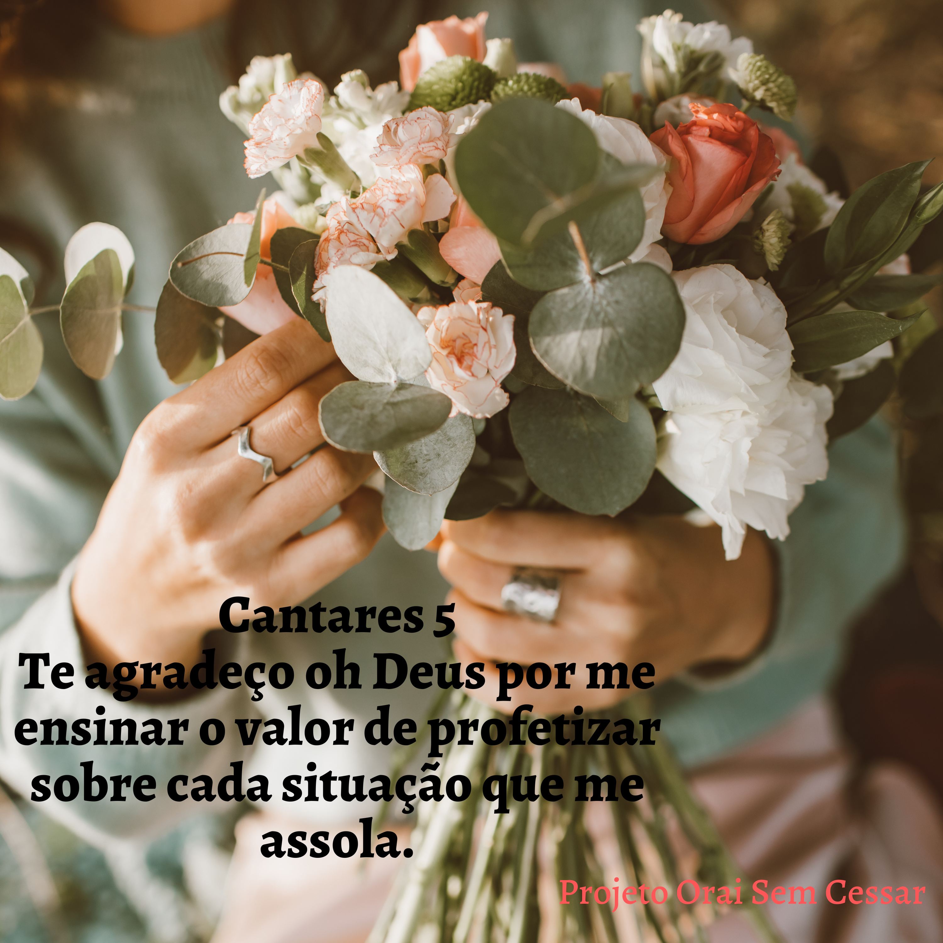 Te agradeço oh Deus por me ensinar o valor de profetizar sobre cada situação que me assola. episode artwork