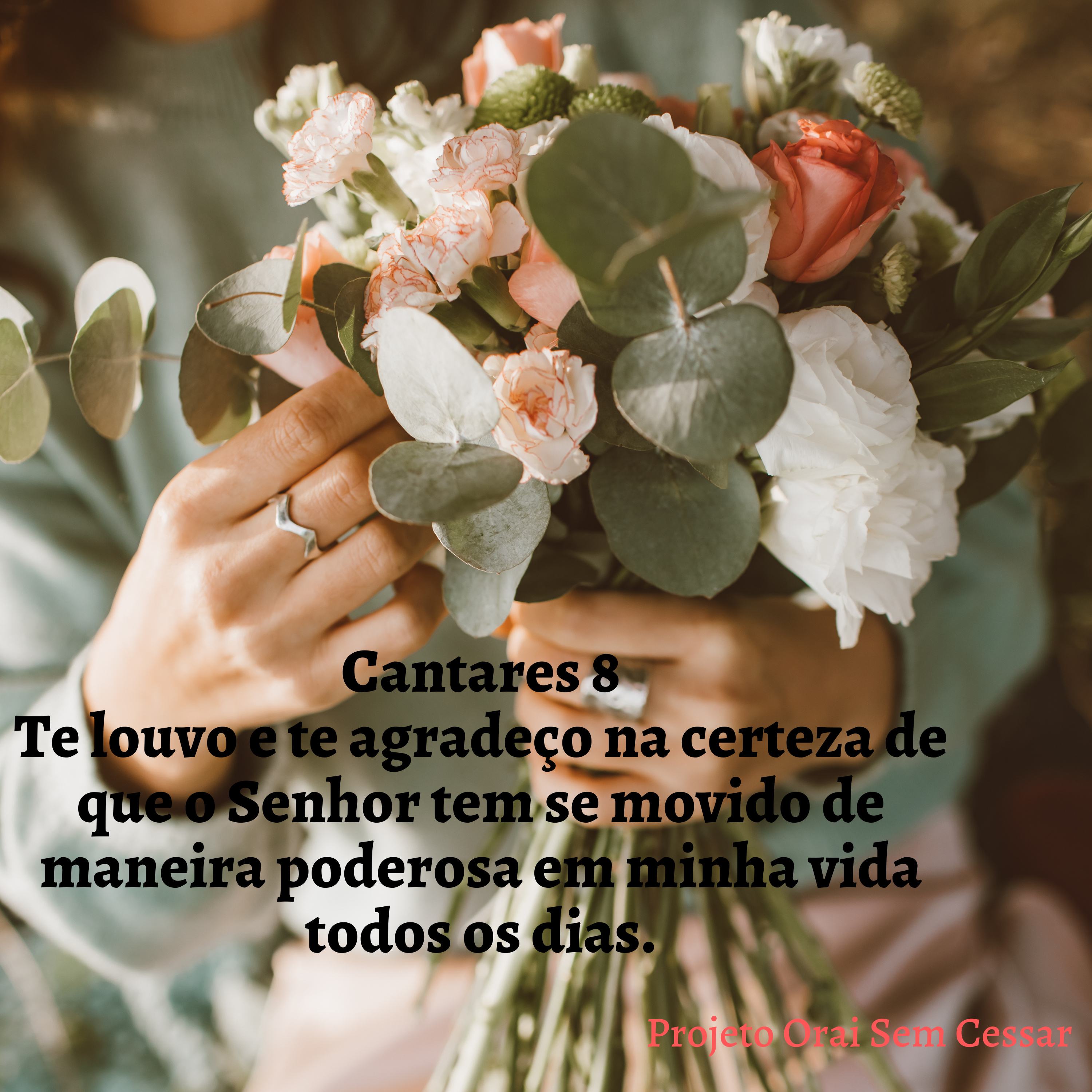Cantares 8 Te louvo porque de maneira poderosa tem agido em minha vida. episode artwork