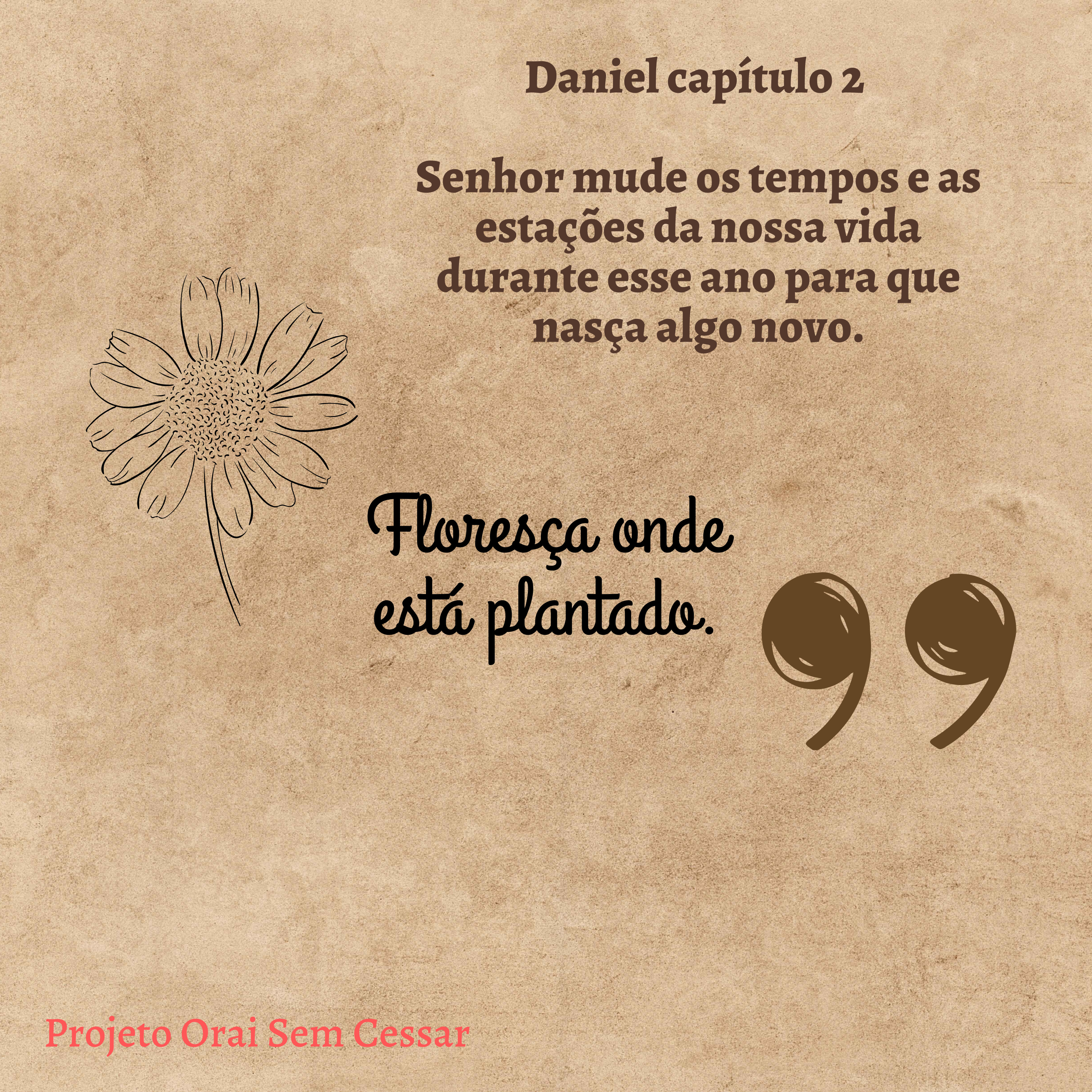 Oração de Daniel capítulo 2: Senhor mude os tempos e as estações da nossa vida durante esse ano . episode artwork