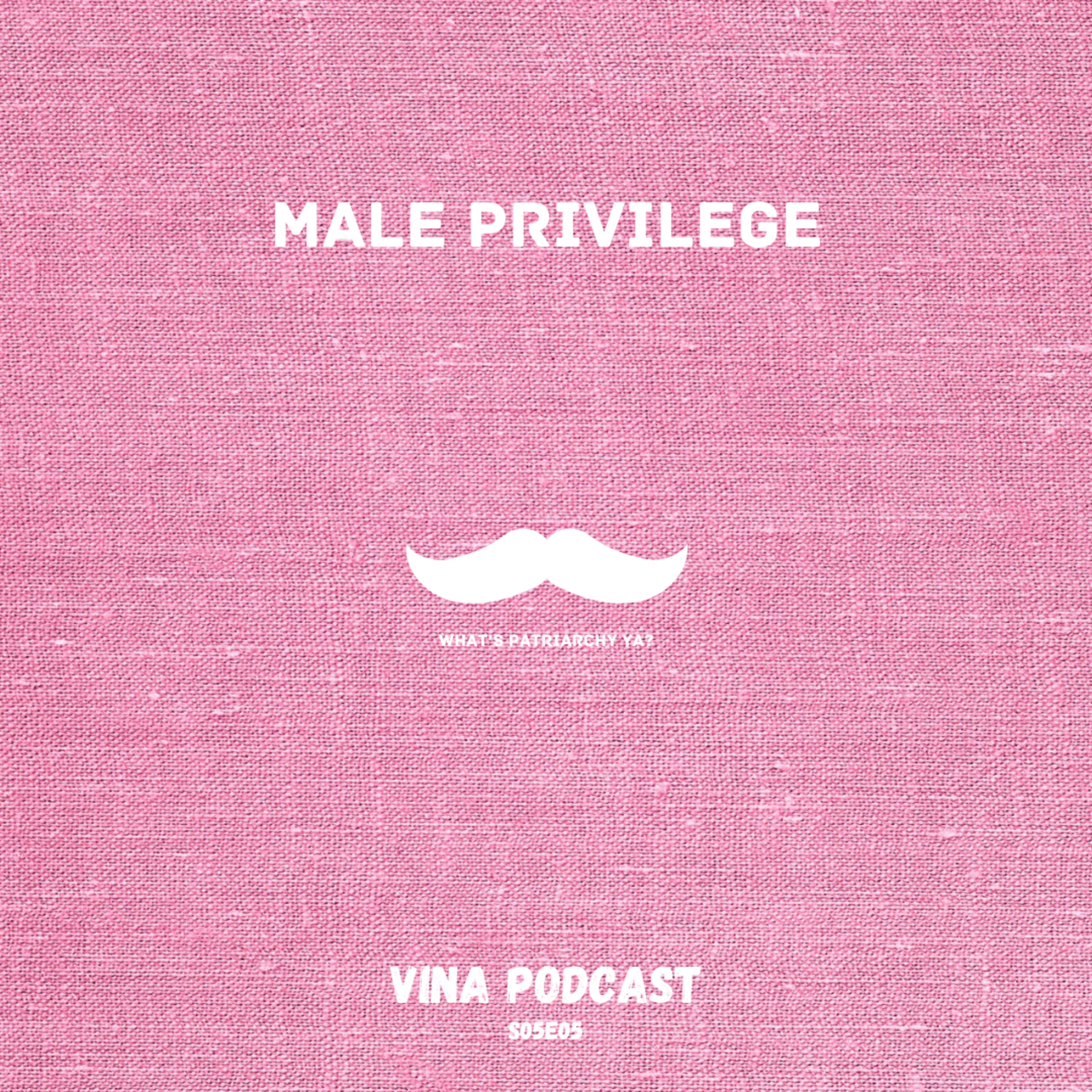 #69 - S05E05 - Male Privilege | Vina Podcast episode artwork
