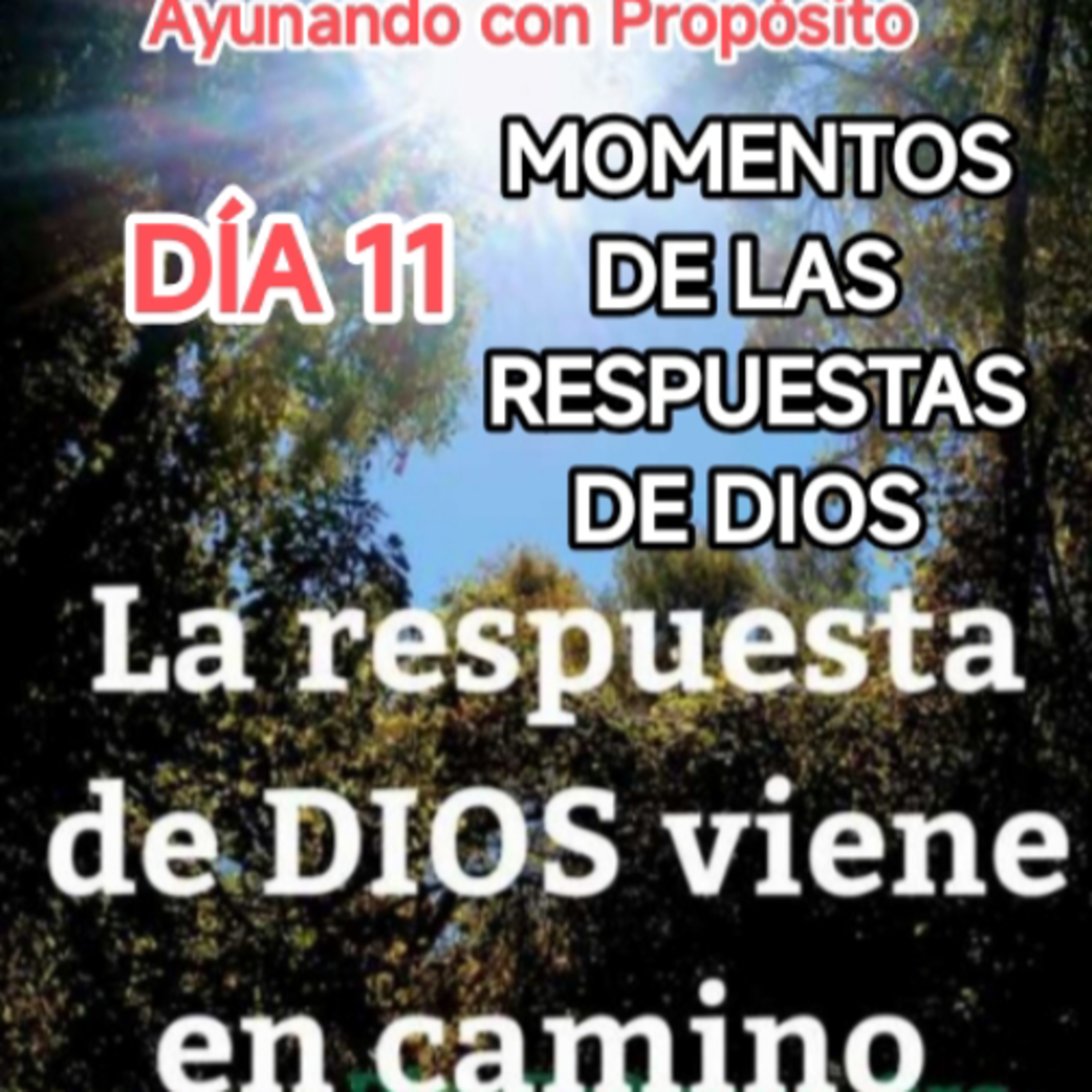 DIA 11 MOMENTOS DE LAS RESPUESTAS DE DIOS 
AYUNANDO CON ANGUIE  episode artwork