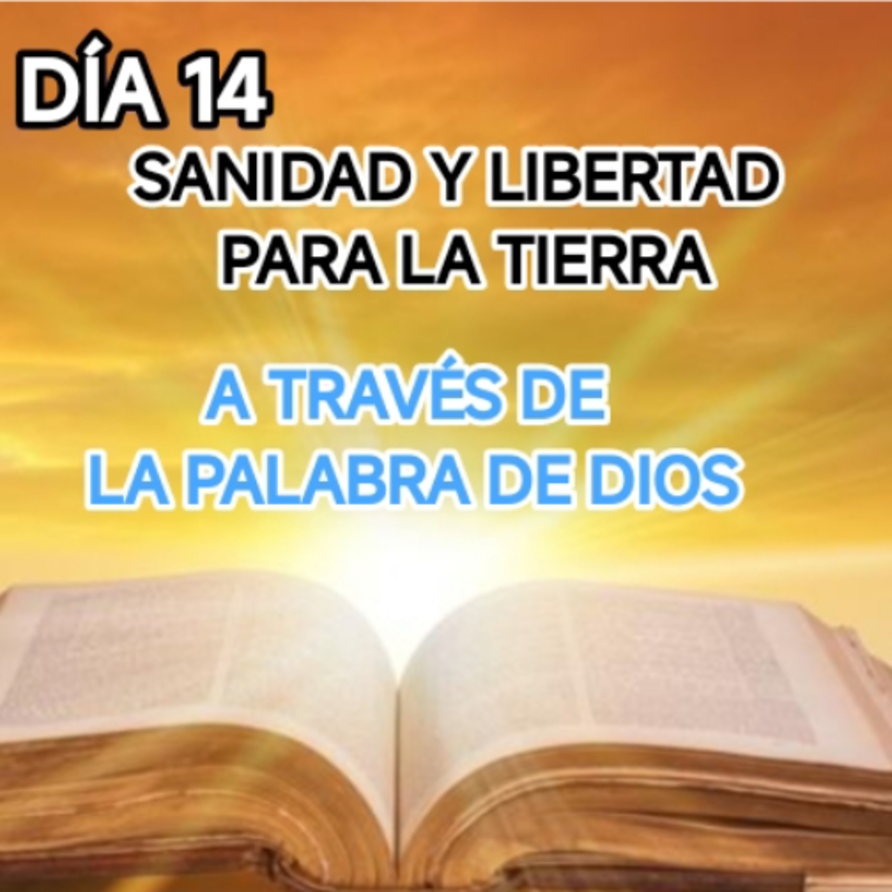 DÍA 14 SANIDAD Y LIBERTAD PARA LA TIERRA. AYUNANDO CON ANGUIE  episode artwork