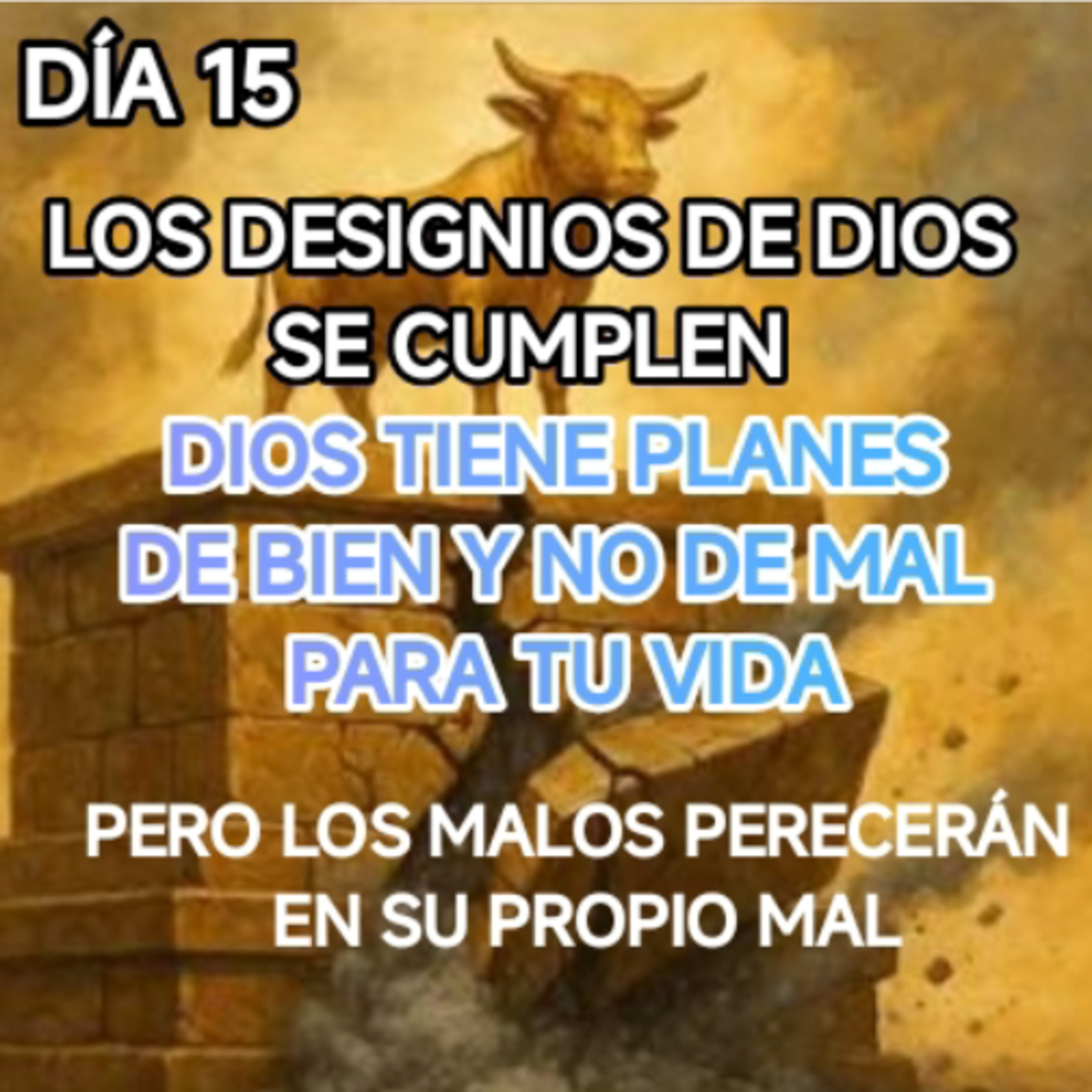 DÍA 15 LOS DESIGNIOS DE DIOS SE CUMPLEN 
AYUNANDO CON ANGUIE episode artwork