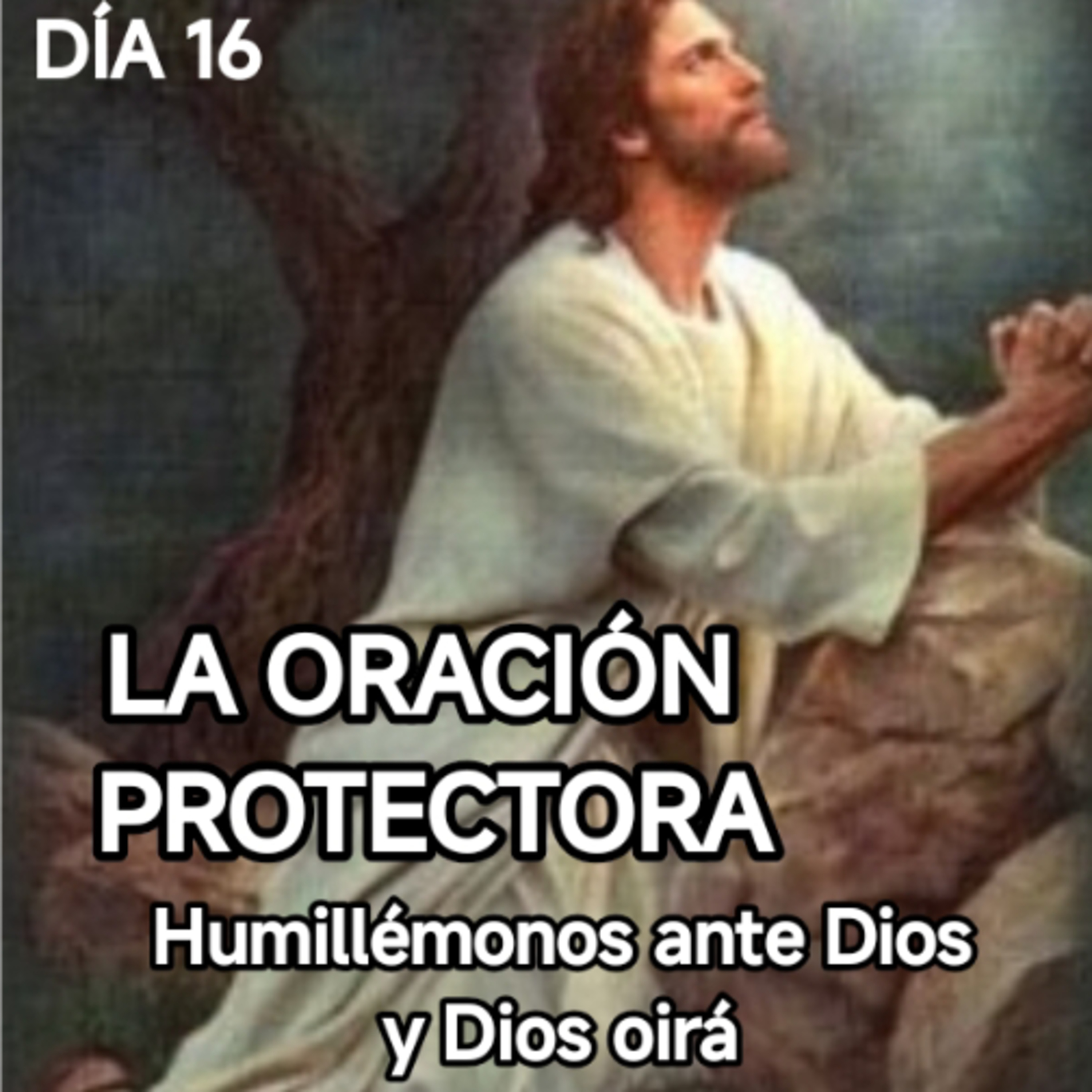 DÍA 16 LA ORACIÓN PROTECTORA
AYUNANDO CON ANGUIE  episode artwork