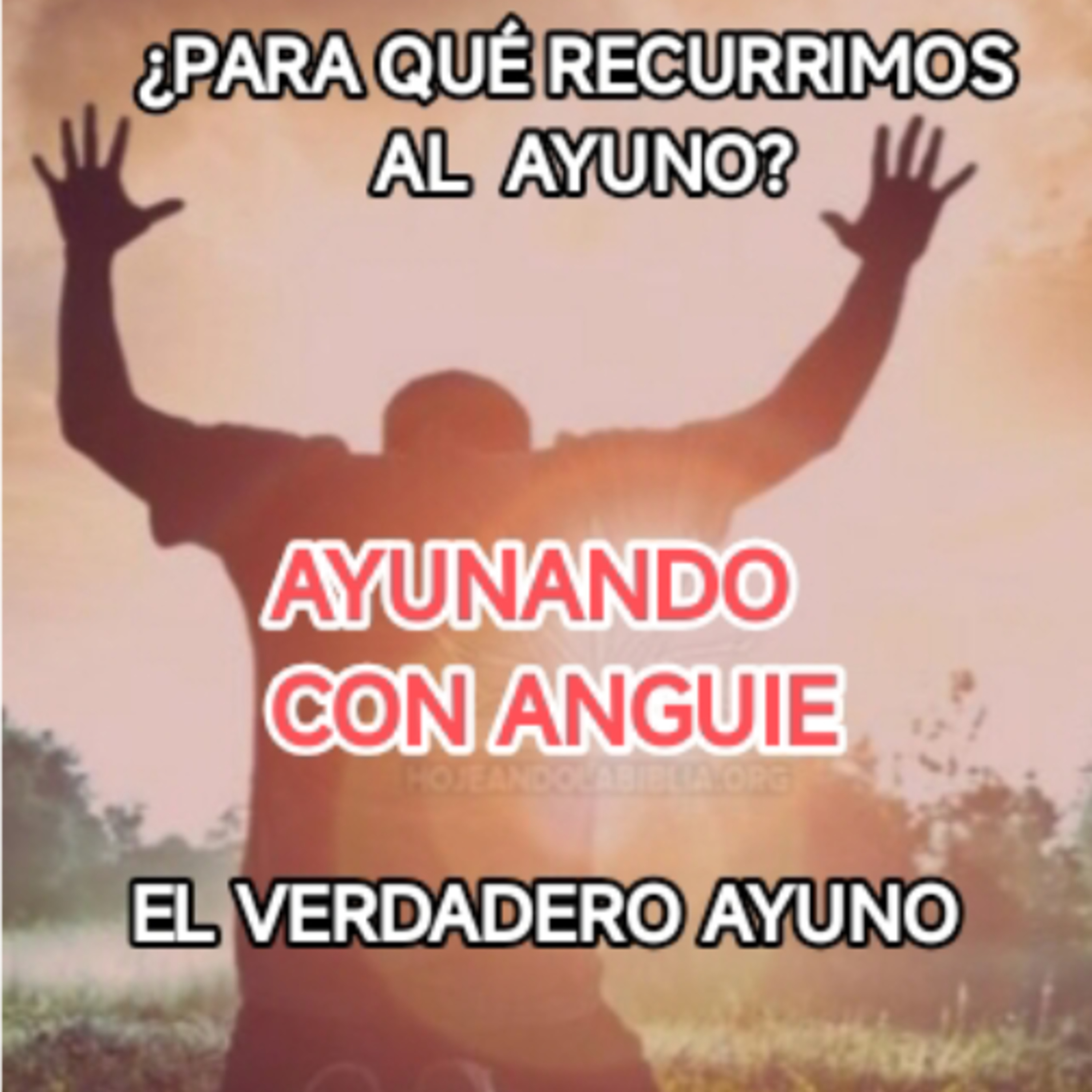 ¿PARA QUÉ RECURRIMOS AL AYUNO?
Ayunando con Anguie episode artwork