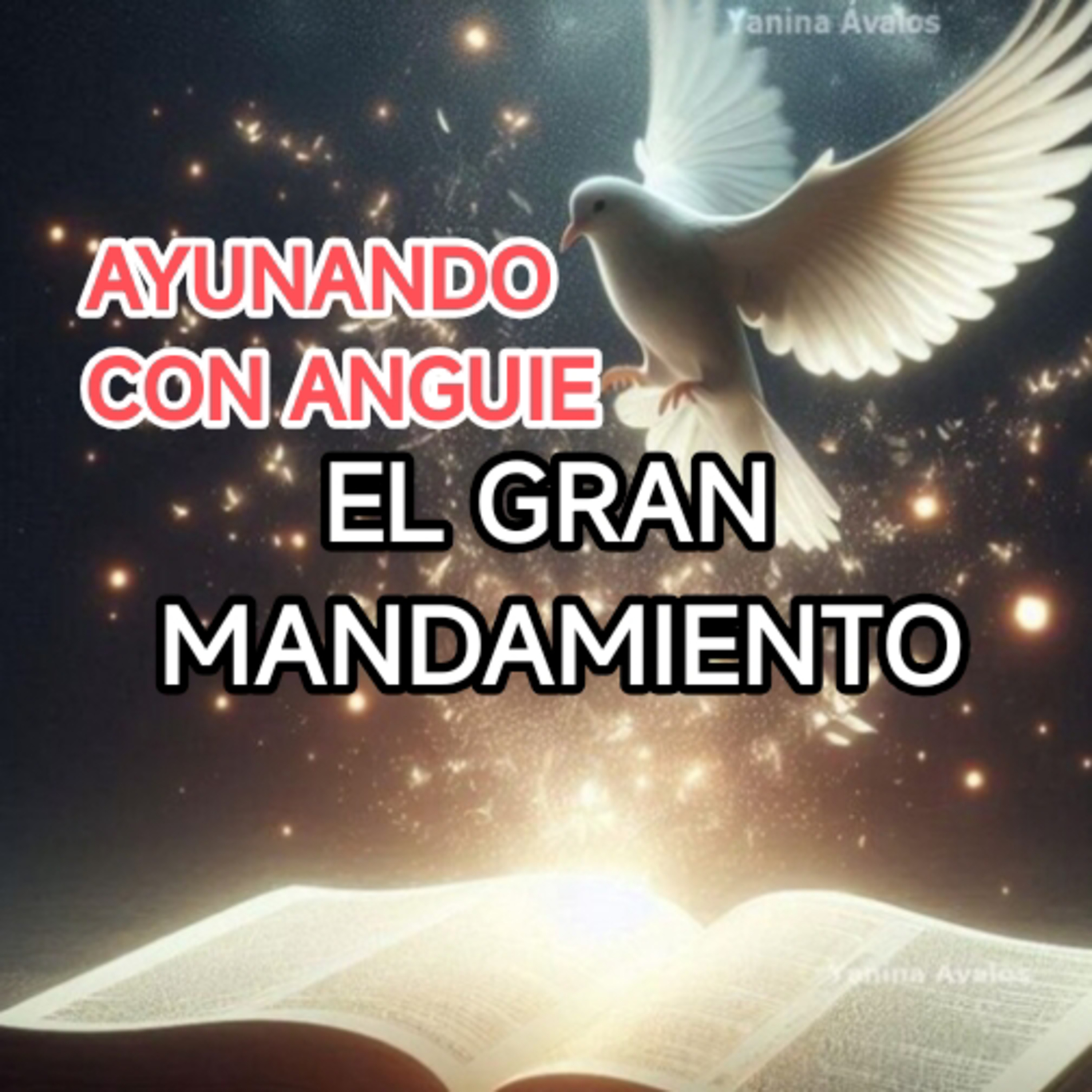 EL GRAN MANDAMIENTO
AYUNANDO CON ANGUIE  episode artwork