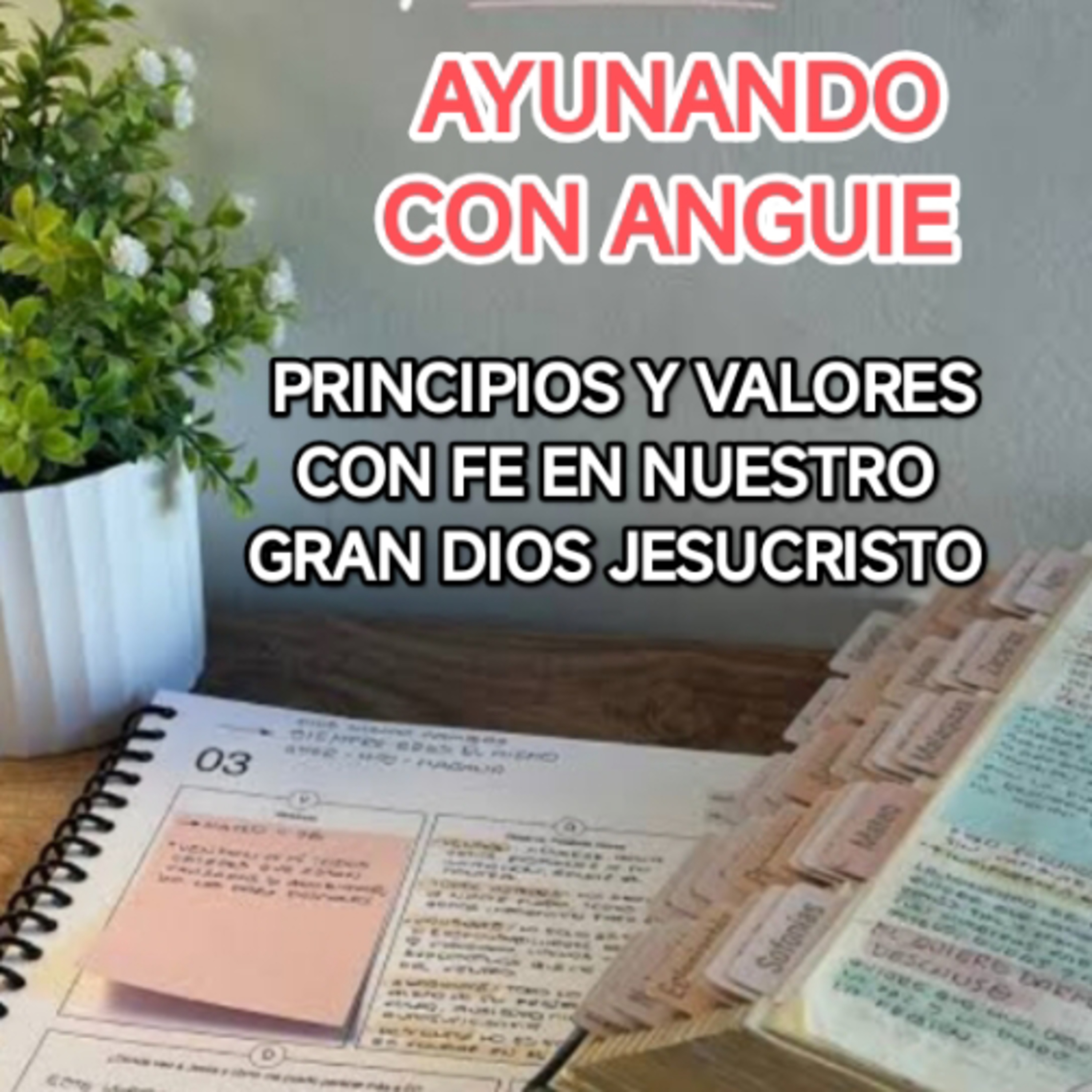 AYUNANDO CON ANGUIE PRINCIPIOS Y VALORES CON FE EN NUESTRO GRAN DIOS Y SALVADOR JESUCRISTO  episode artwork
