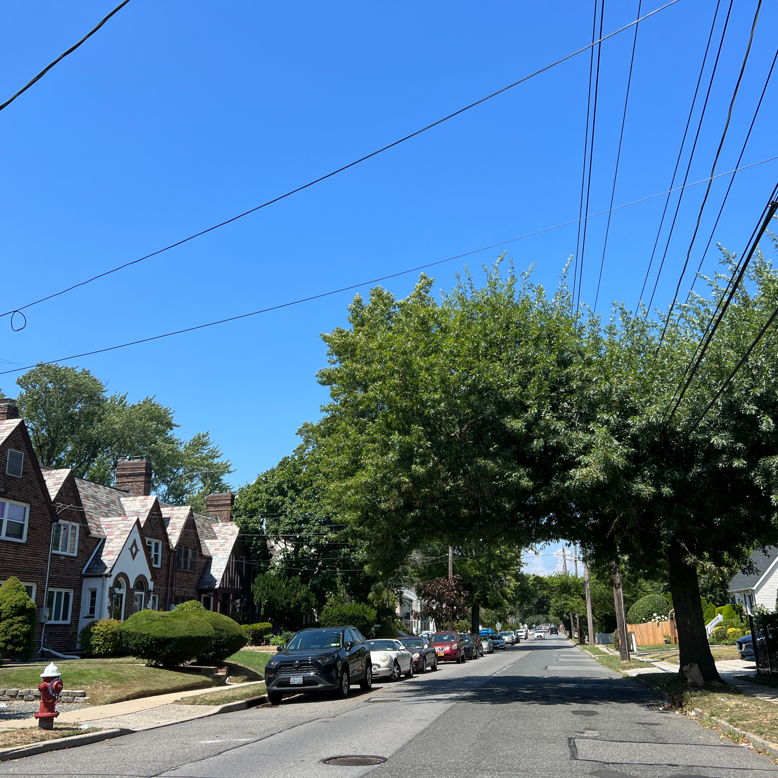 THE QUEENS NEW YORKER EPISODE 297: THE HAMLETS OF HEMPSTEAD PART 3