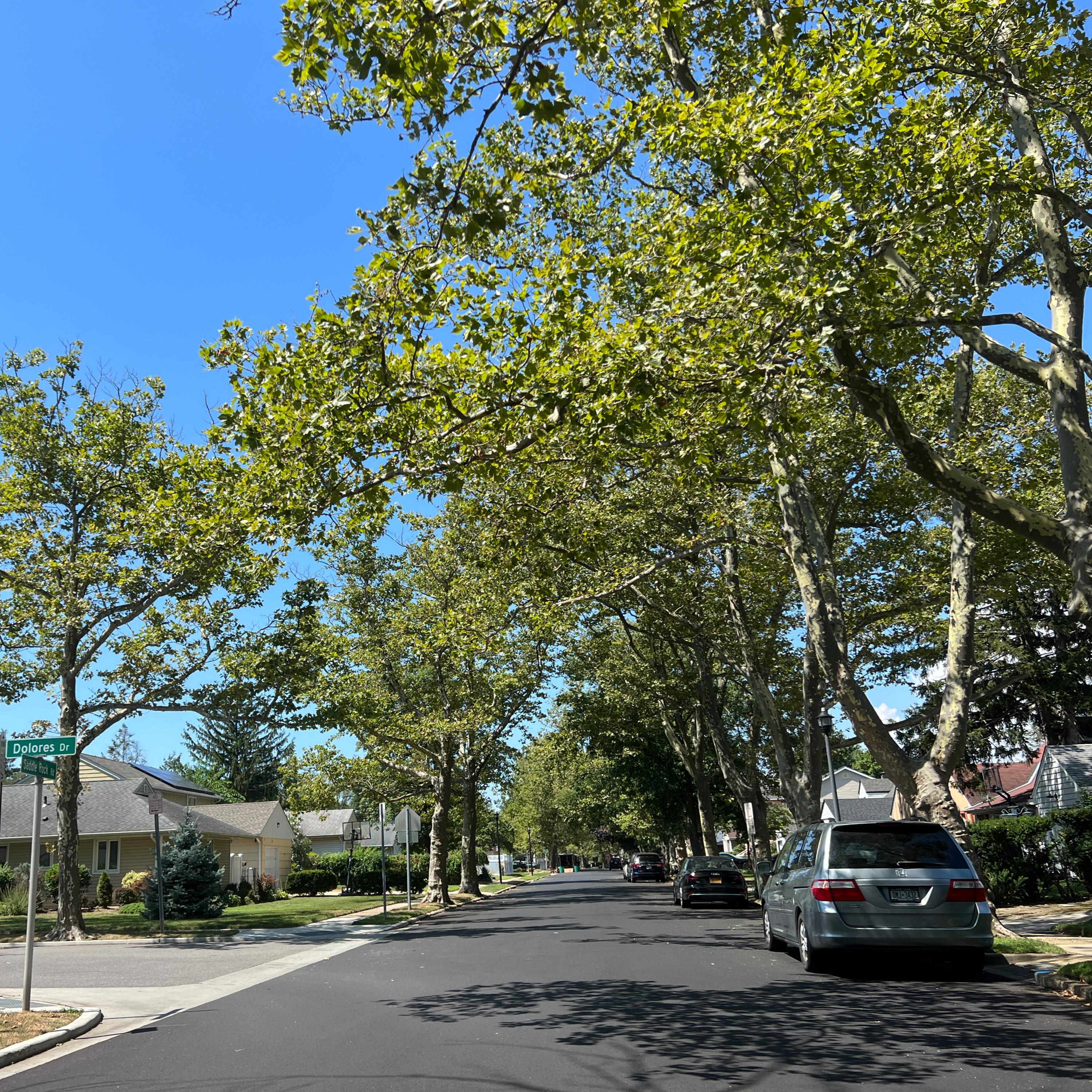 THE QUEENS NEW YORKER EPISODE 299: THE HAMELTS OF HEMPSTEAD PART 5