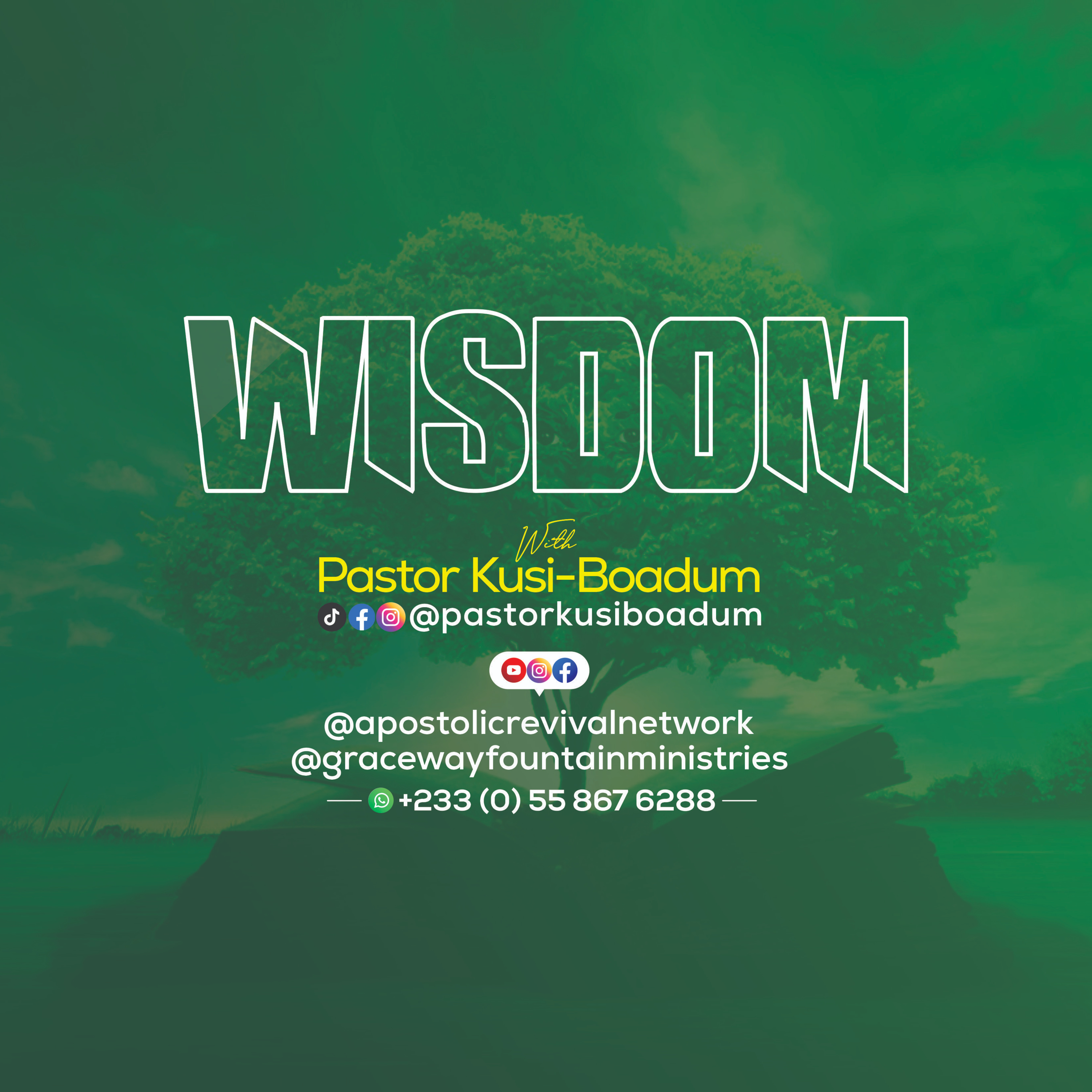 WISDOM episode artwork