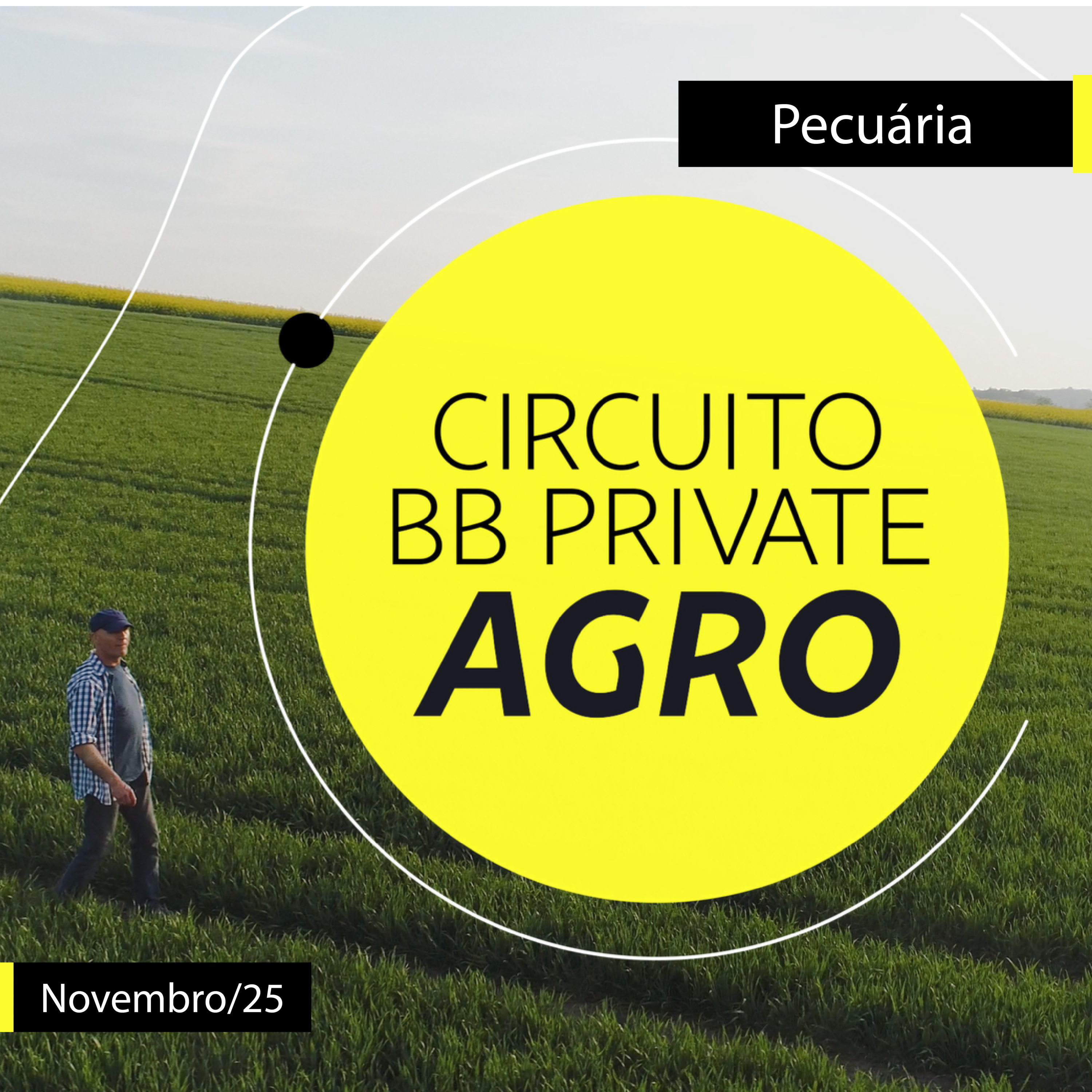 Pecuária - Circuito BB Private Agro - Novembro/25 | BB episode artwork