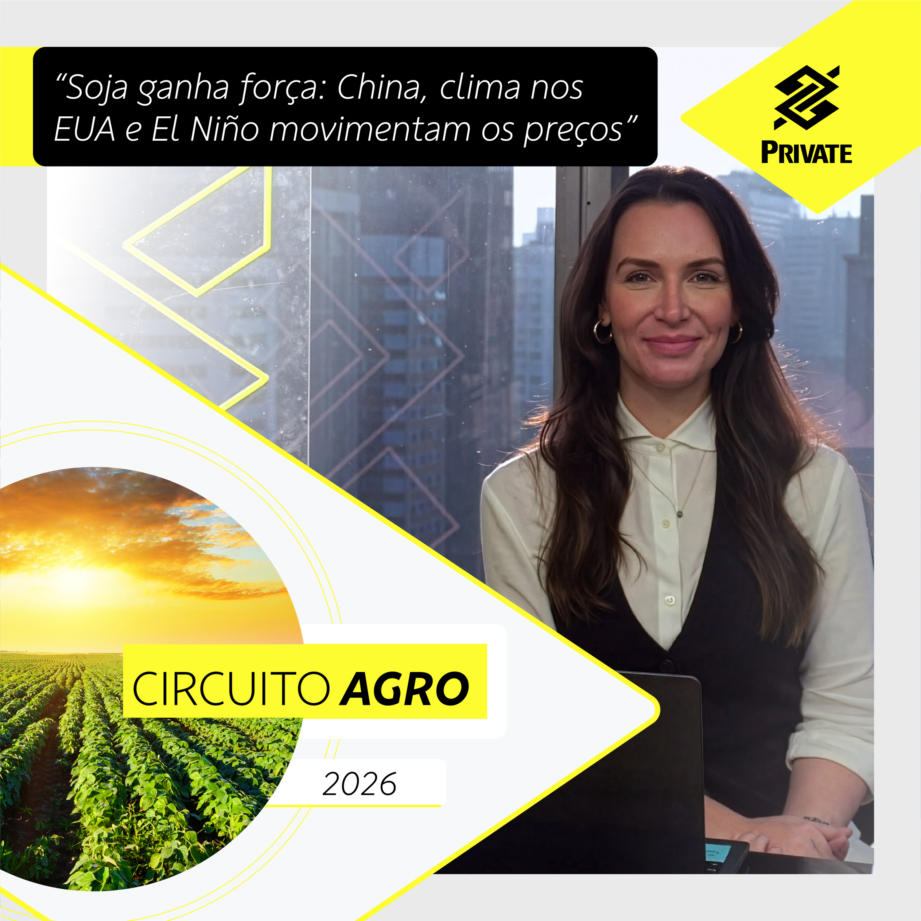 Soja ganha força: China, clima nos EUA e El Niño movimentam os preços - Circuito BB Private Agro | BB episode artwork