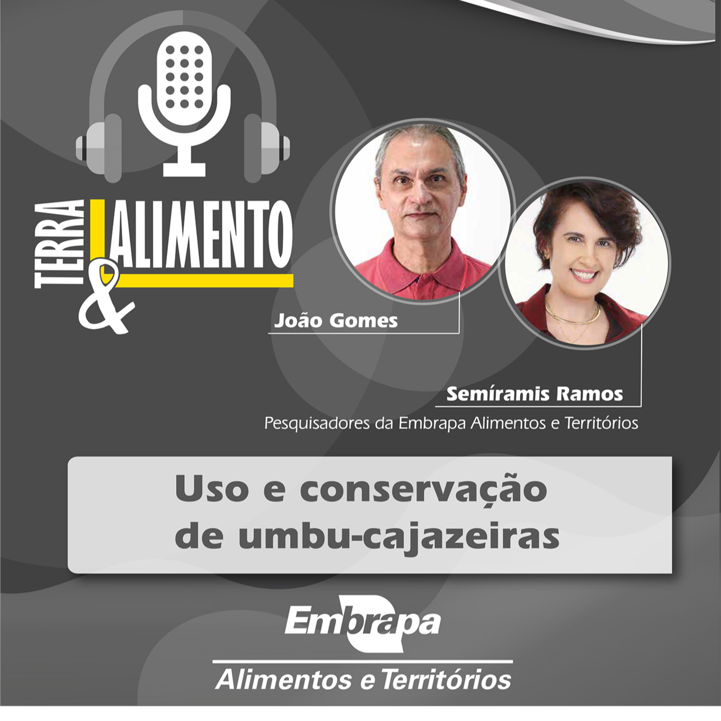 Uso e conservação de umbu-cajazeiras