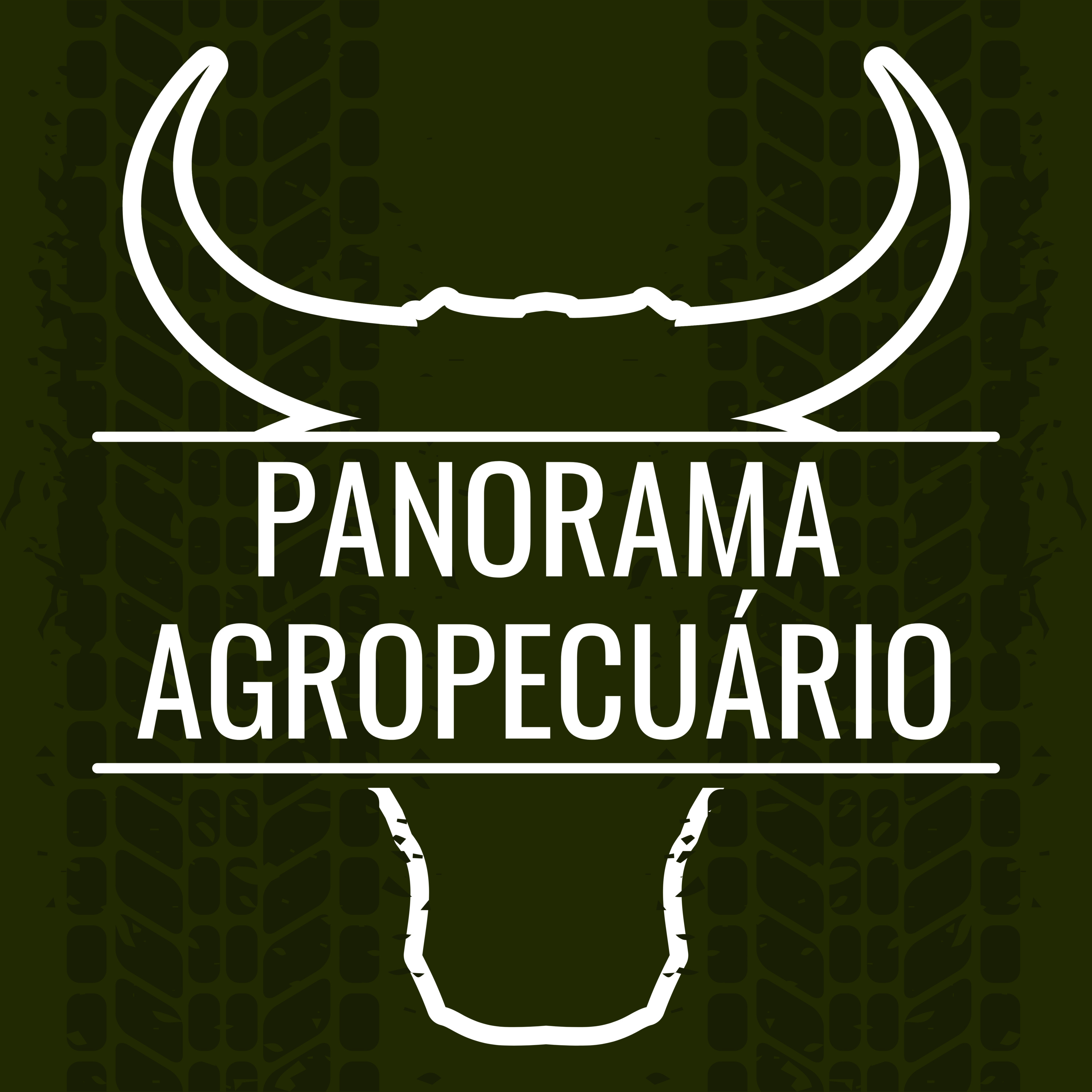 Panorama Agropecuário | 23.03.24 