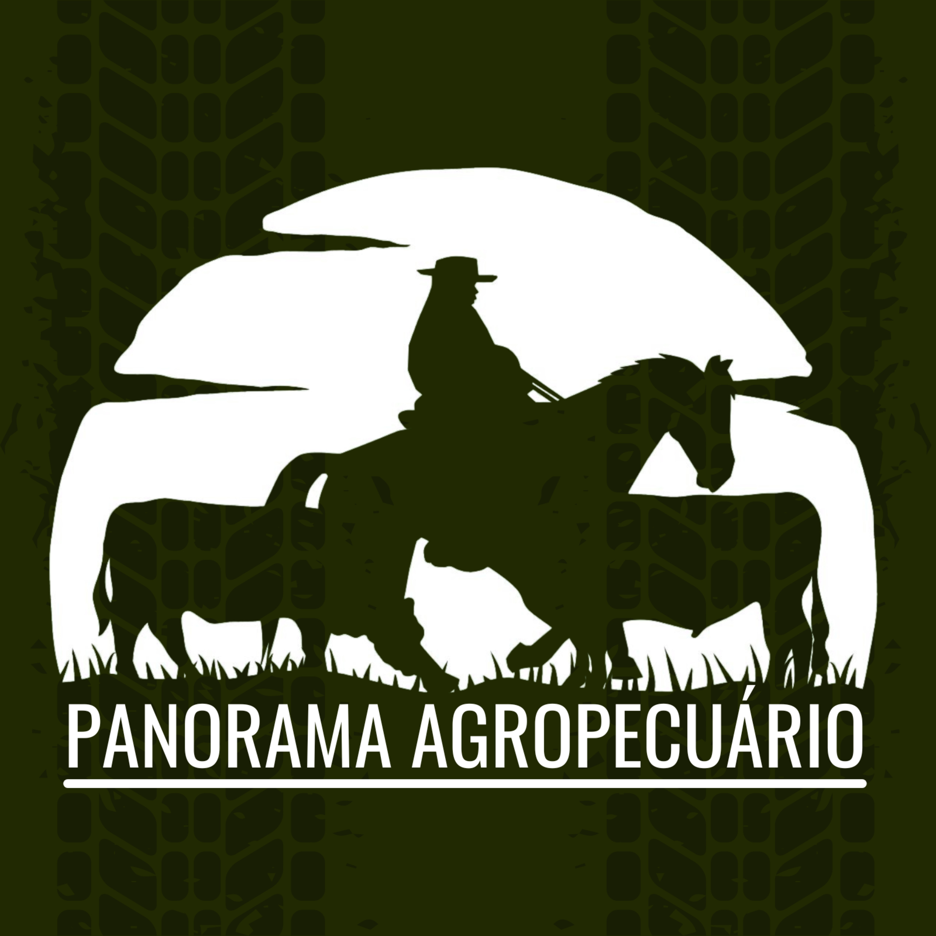 Panorama Agropecuário | 13.04.24 episode artwork