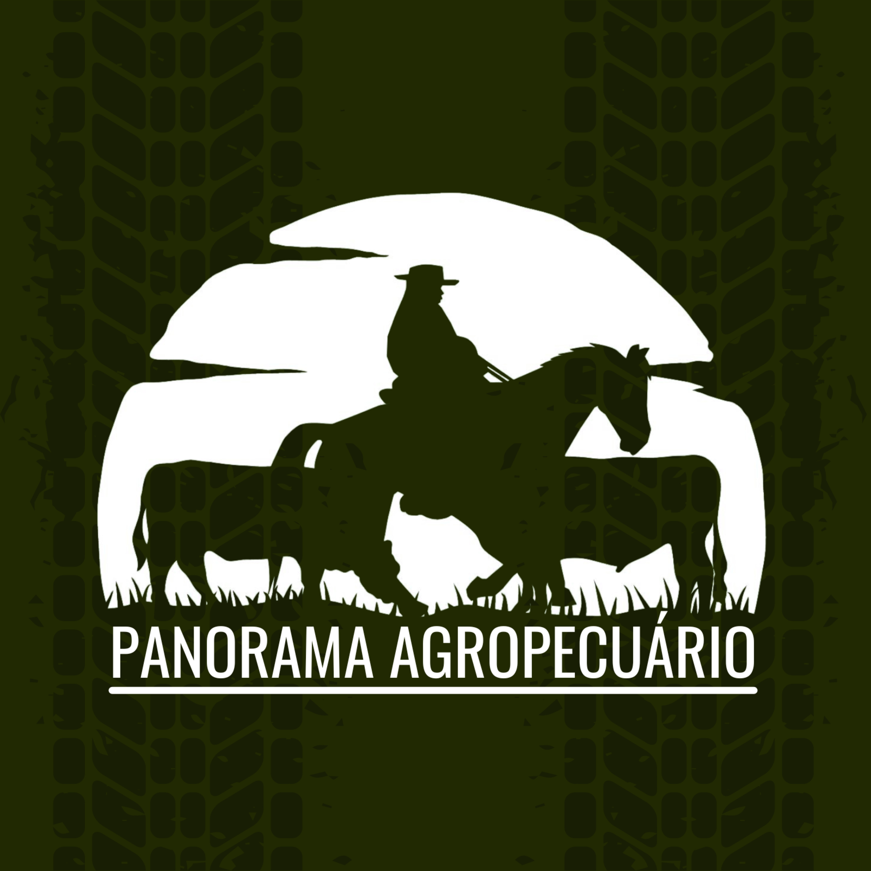 Panorama Agropecuário | 20.04.24