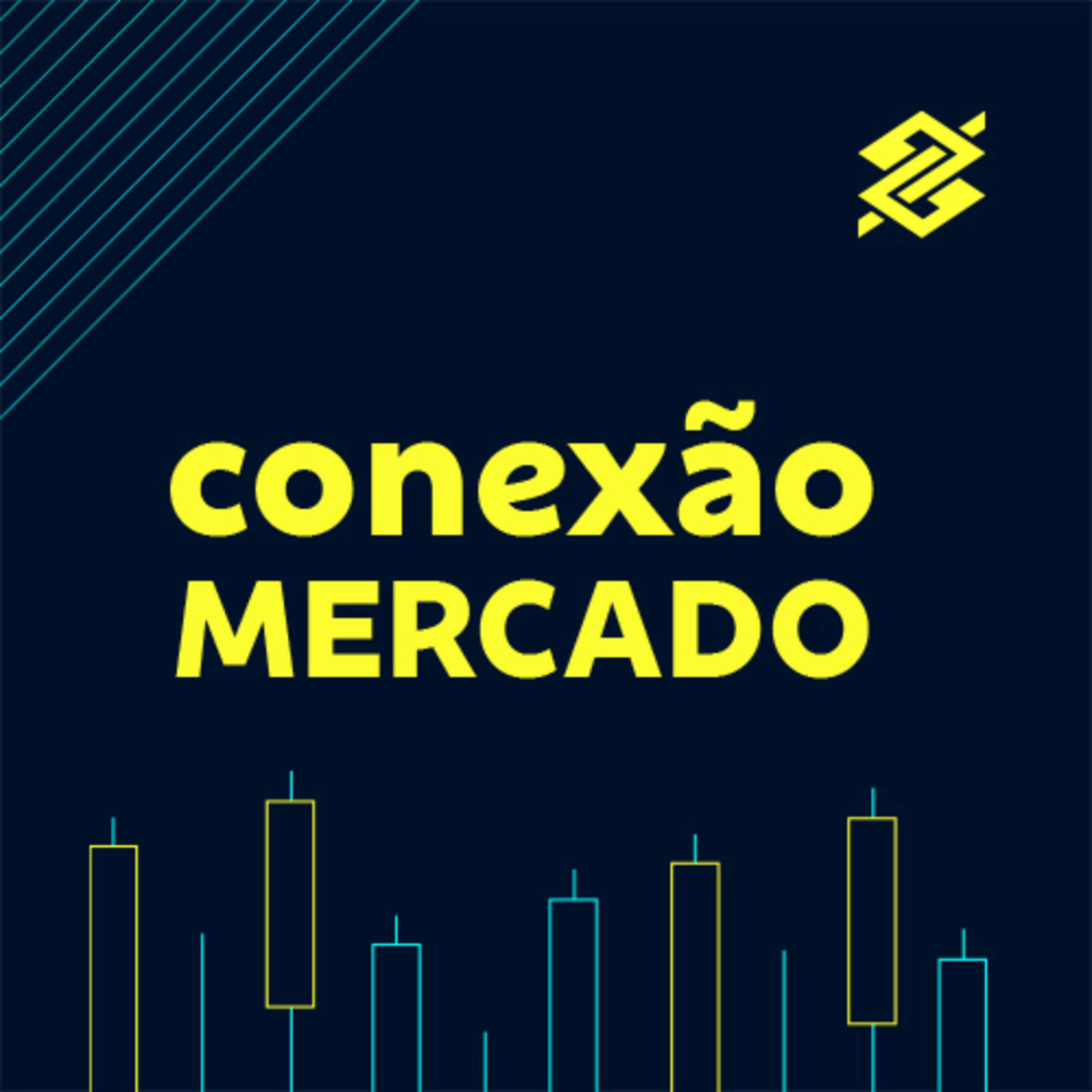 Conexão Mercado - 15/08/2024