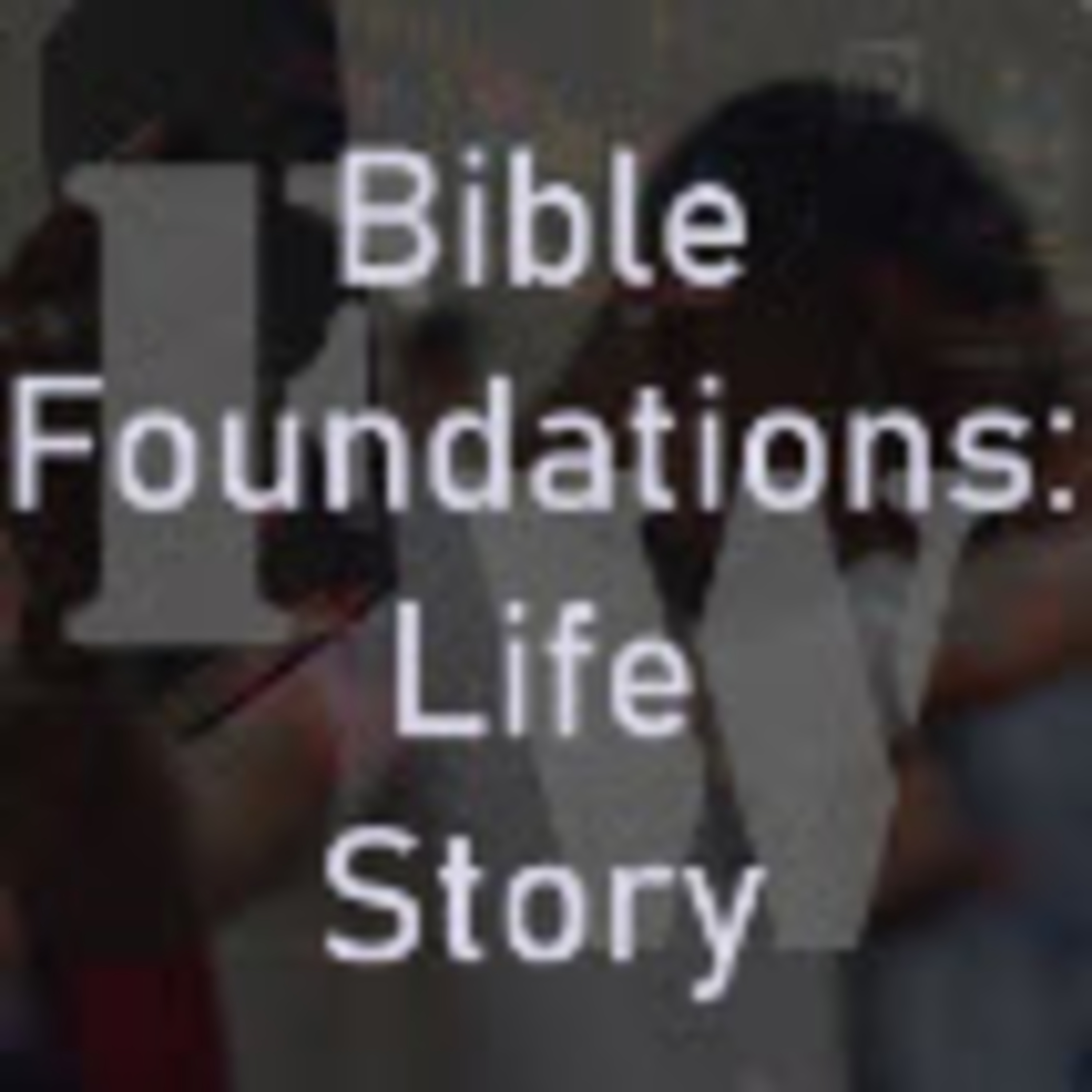 Bible Foundations: Addendums to Our Life's Story Phase II Part IX episode artwork