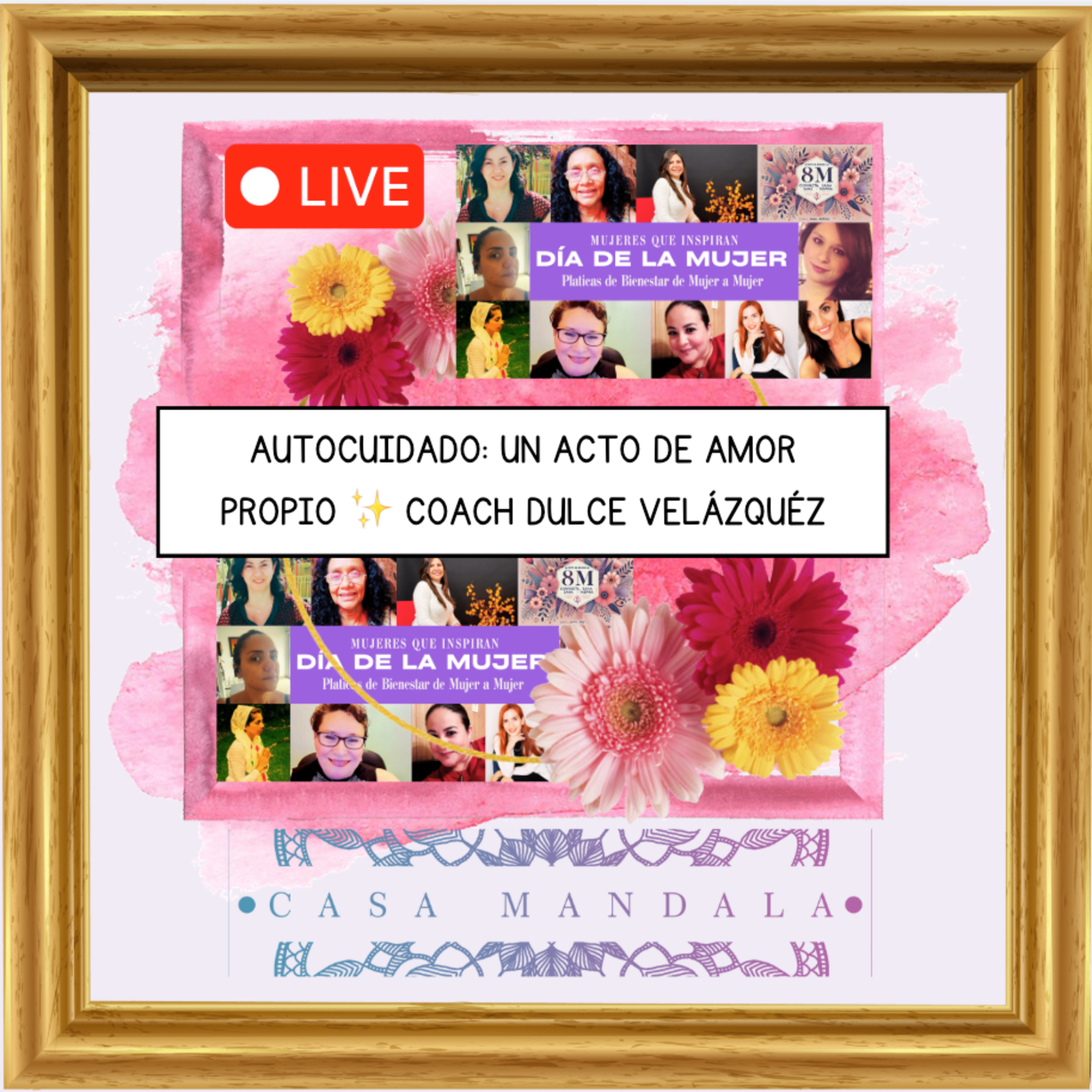 Portada de Casa Mandala
