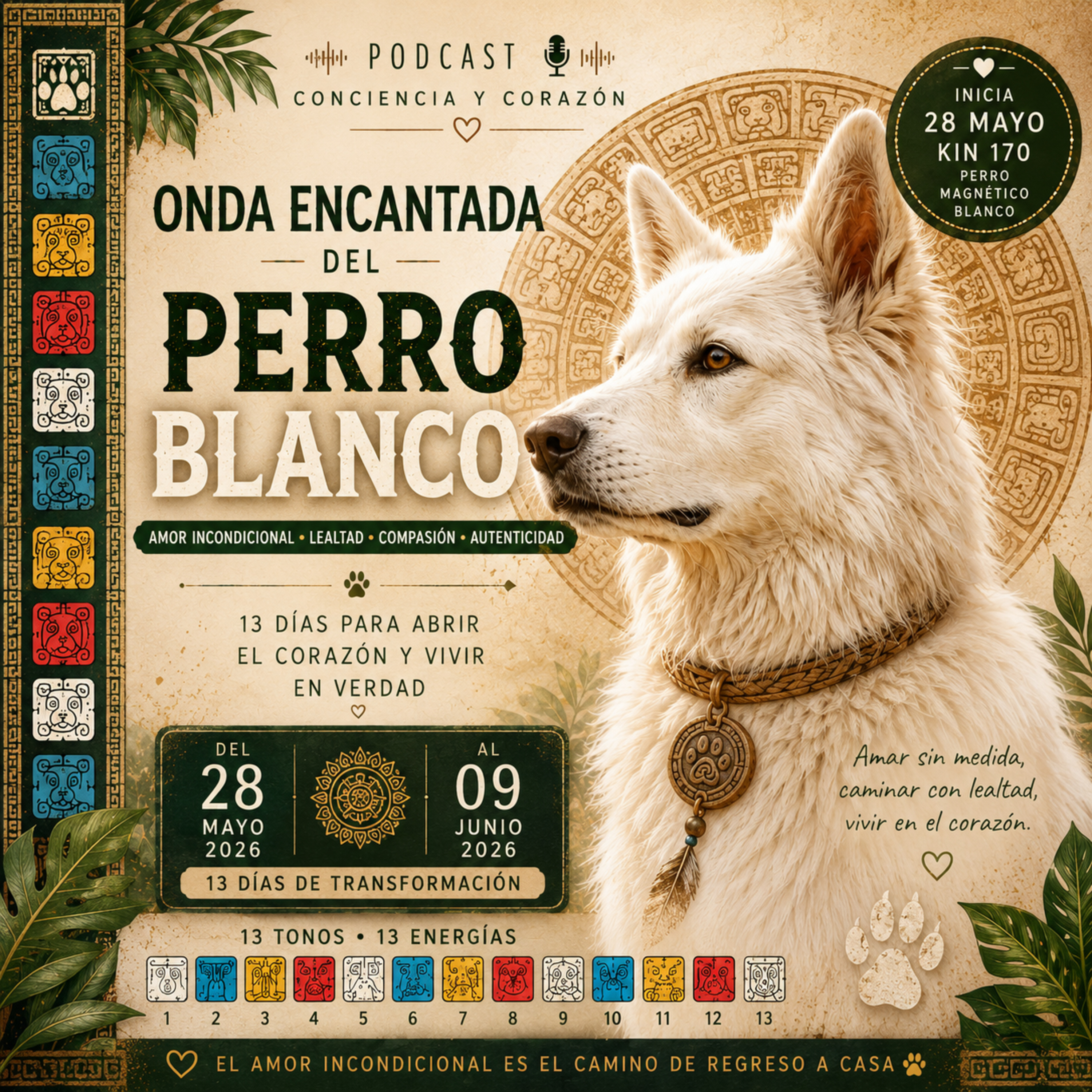 Portada de Casa Mandala