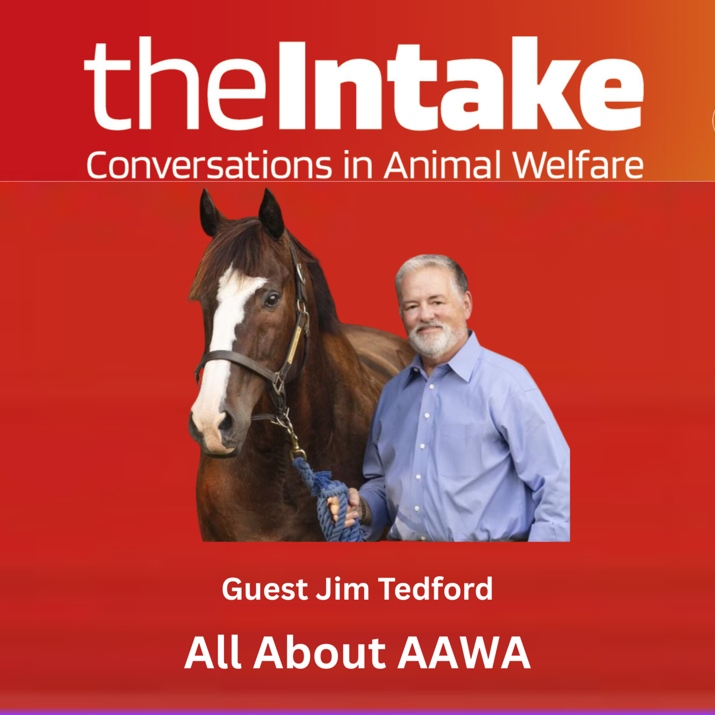 All About AAWA with Jim Tedford episode artwork