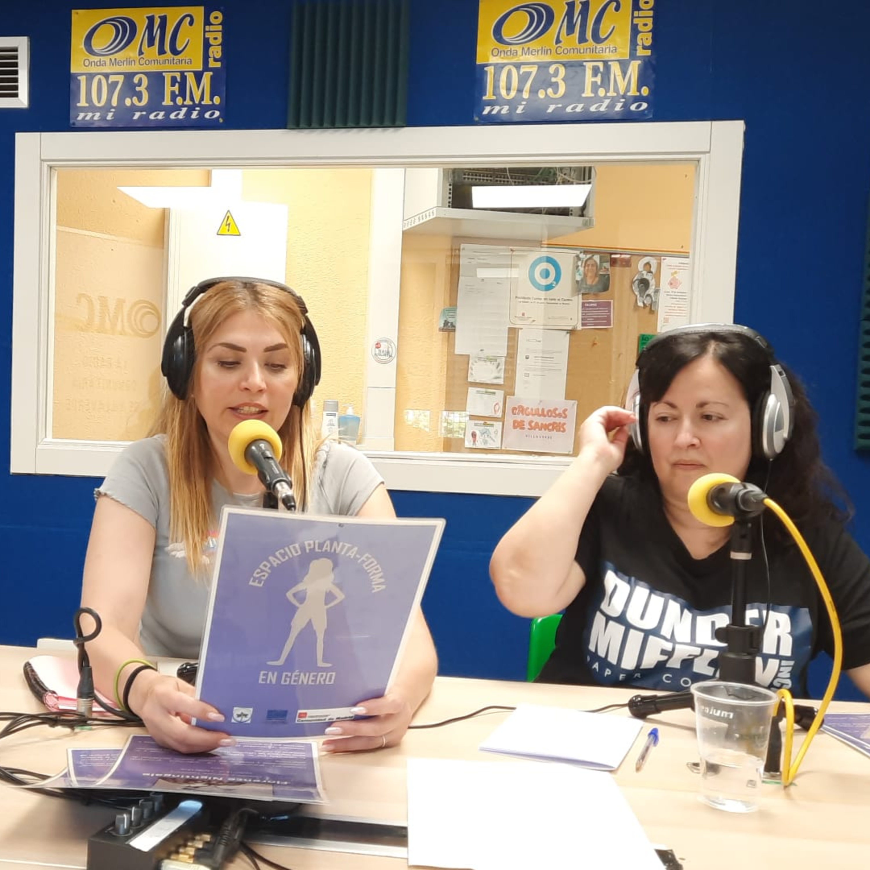 Diversidad OMC Radio