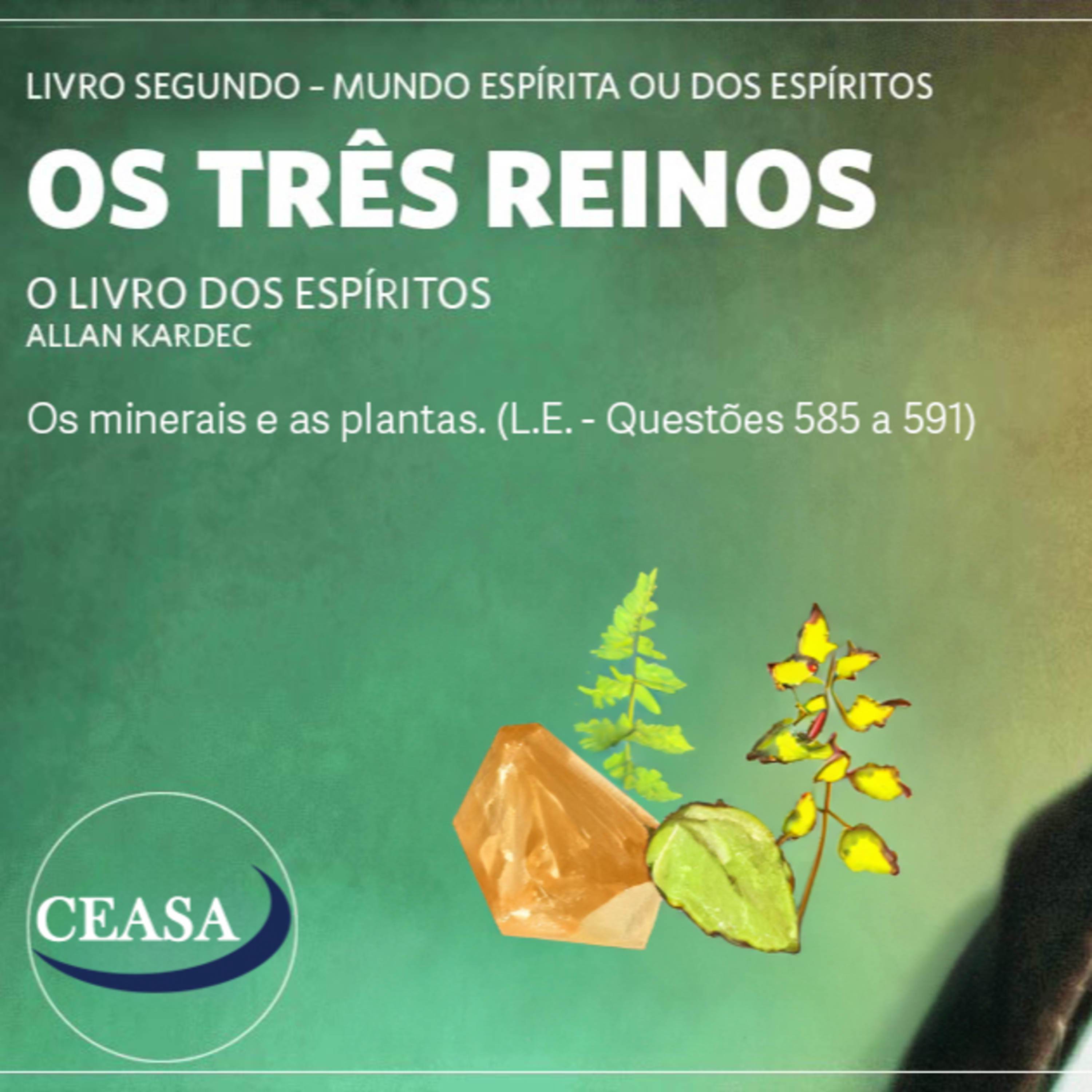 Os minerais e as planta - 20231020 - Jorge Simas episode artwork