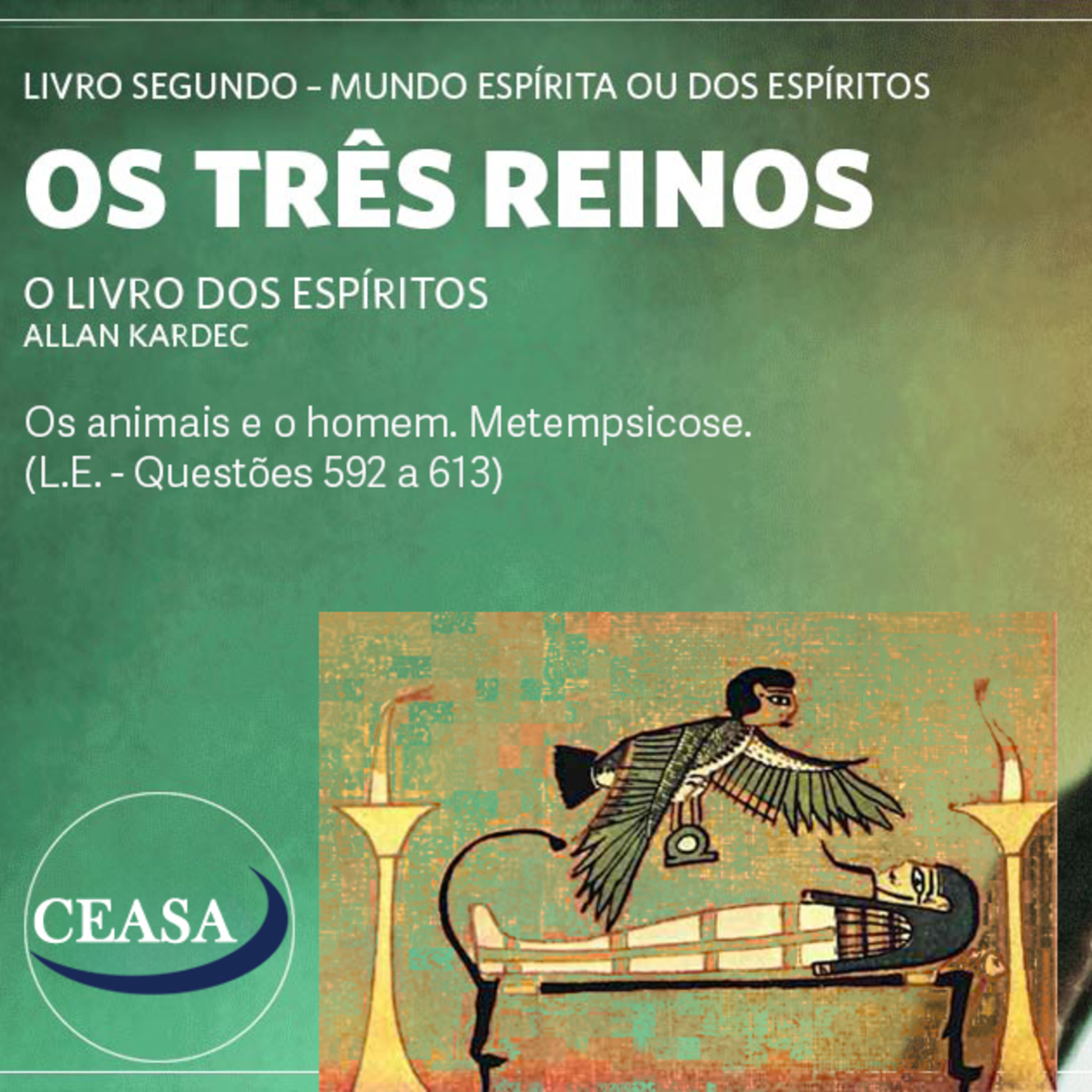Os animais e o homem. Metempsicose - 17.11.2023 - José Soares episode artwork