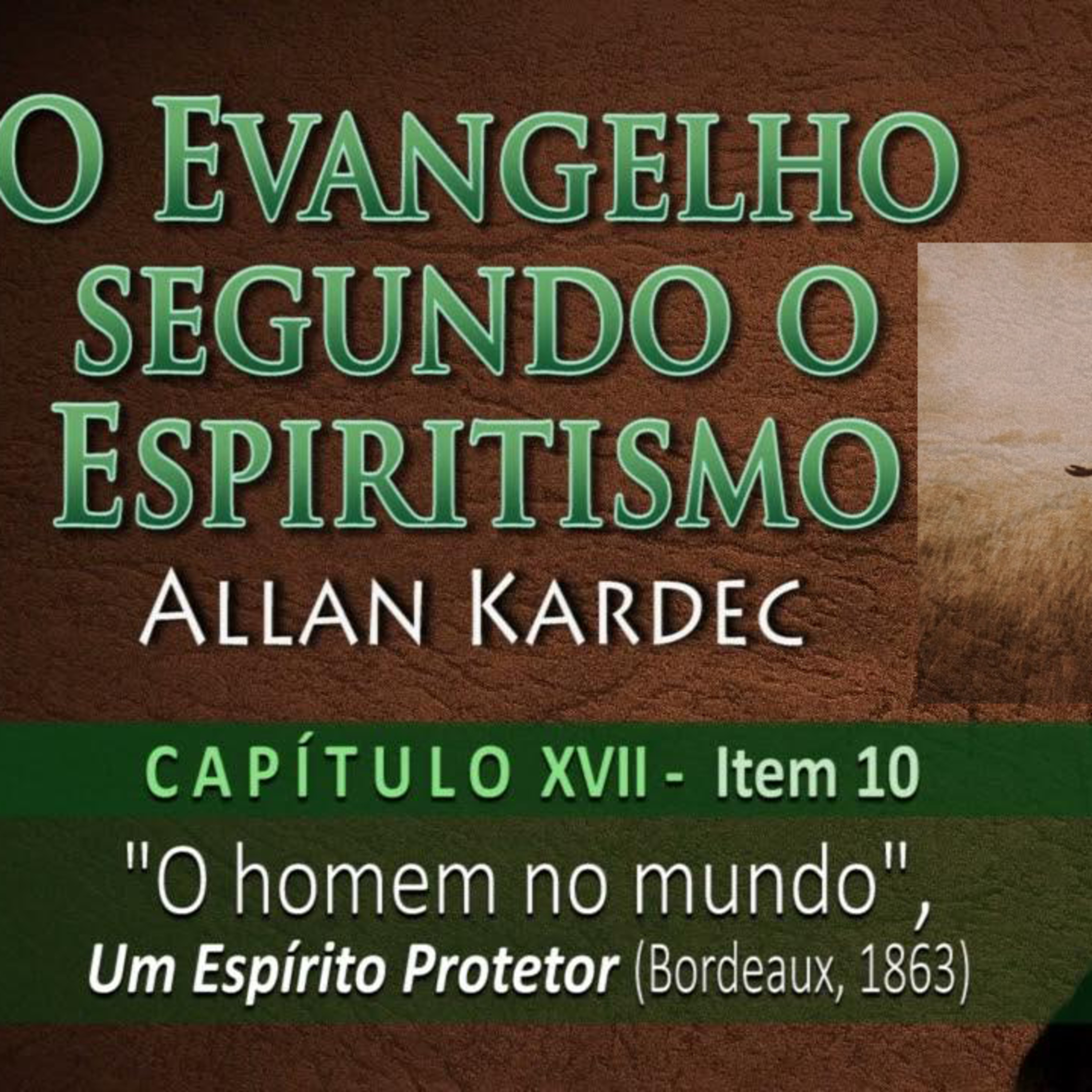 Palestras e Estudos do Ceasa