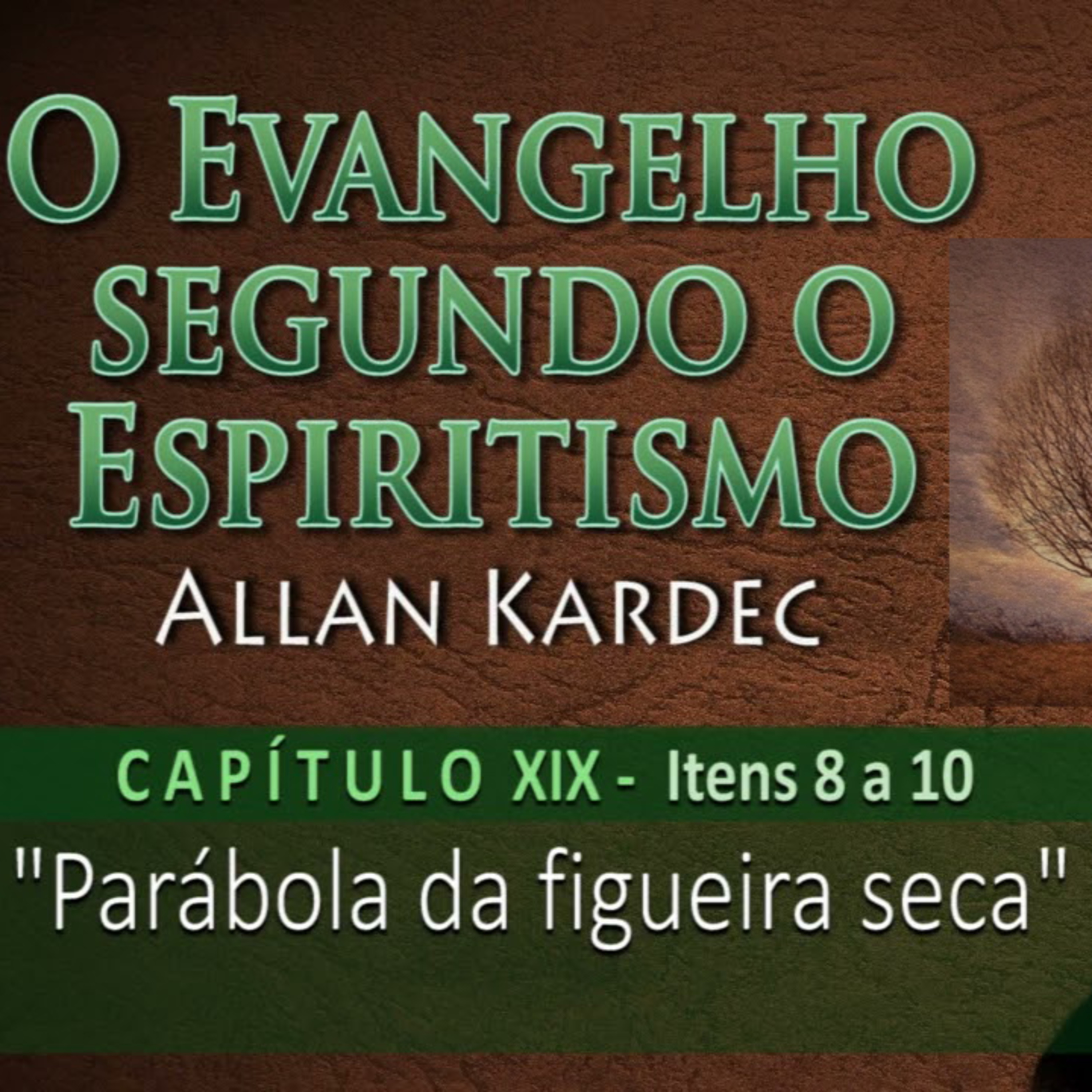 Parábola da figueira que secou - 15.04.2024 - Sueli Gomes episode artwork