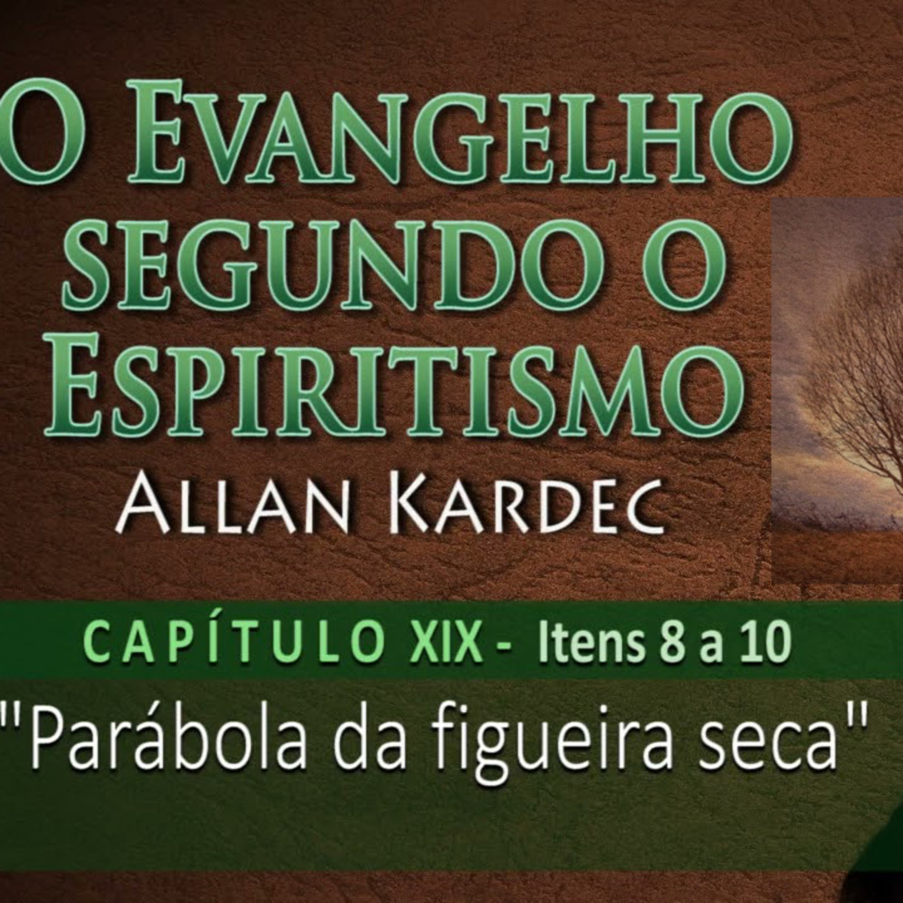 Parábola da figueira que secou - 15.04.2024 - Luciana Rocha episode artwork