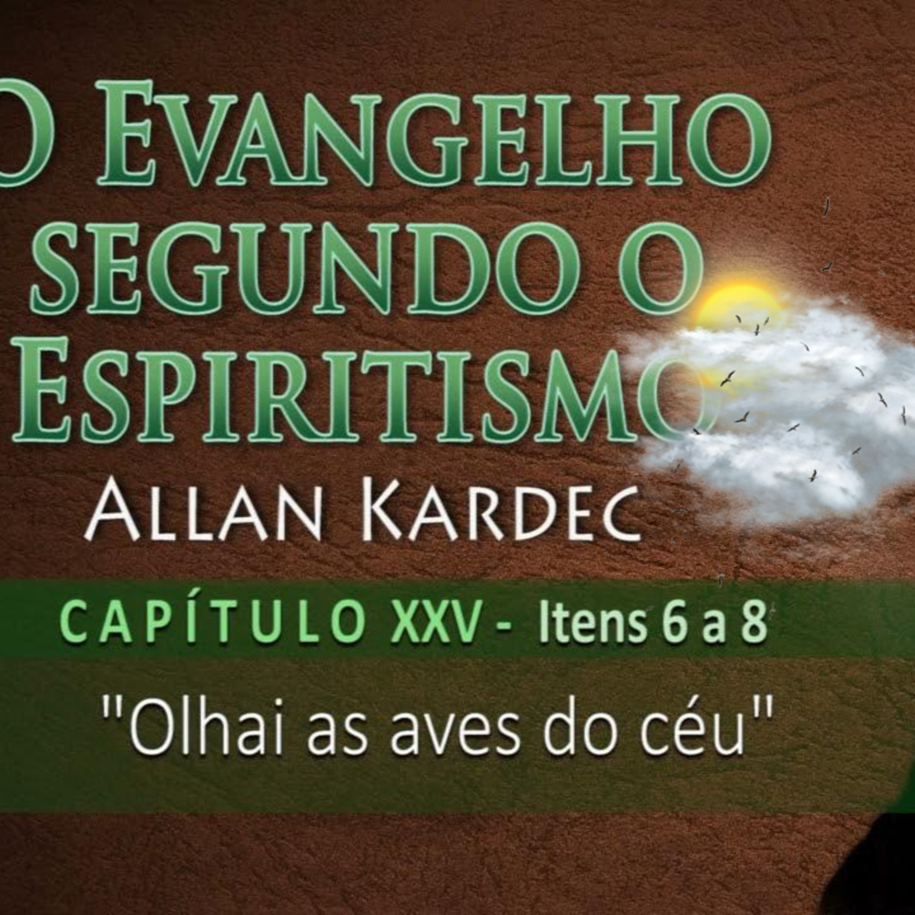 Observai os pássaros do céu - 02.09.2024 - Edna Paz episode artwork