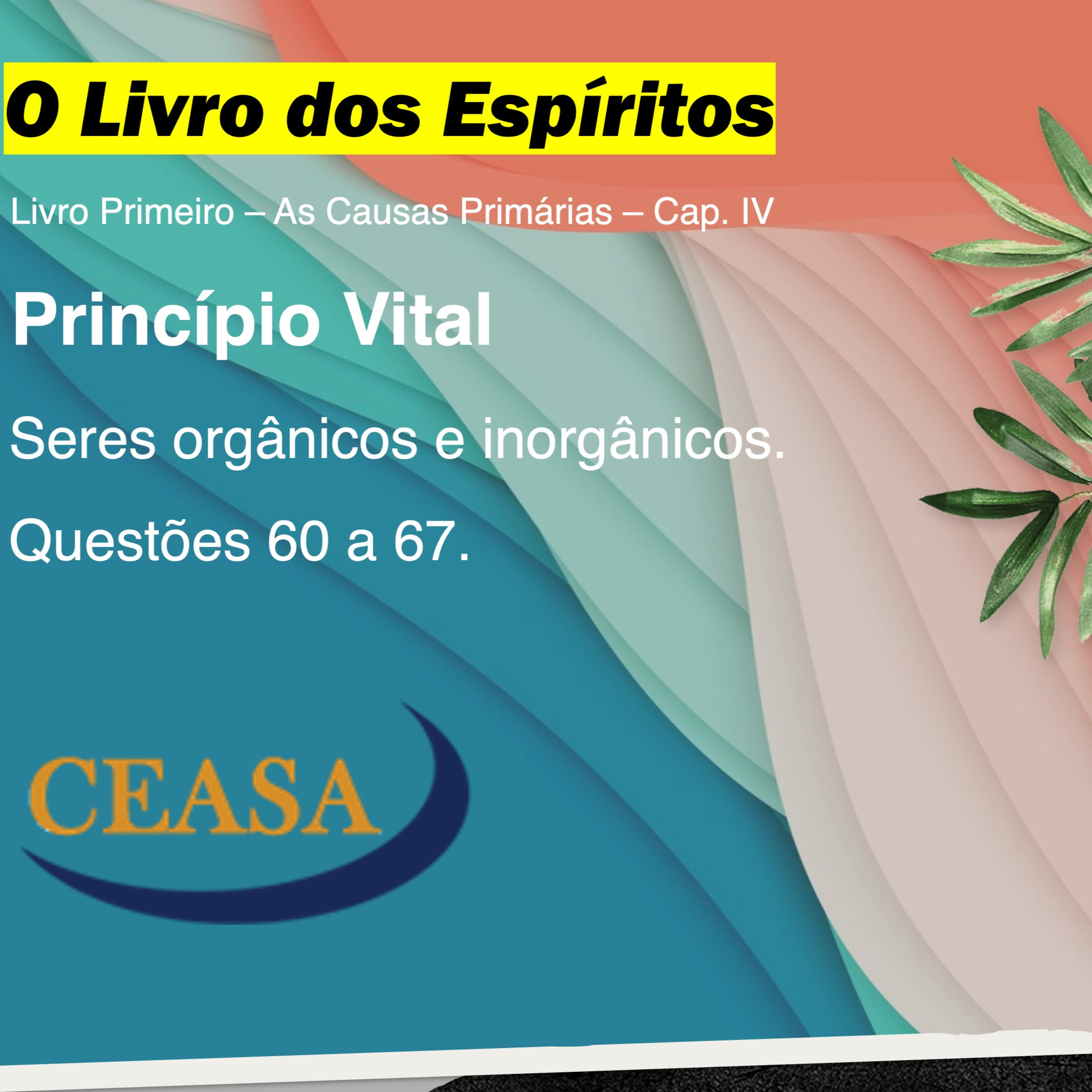 Seres orgânicos e inorgânicos - 11.07.2025 - Niete Pimentel episode artwork