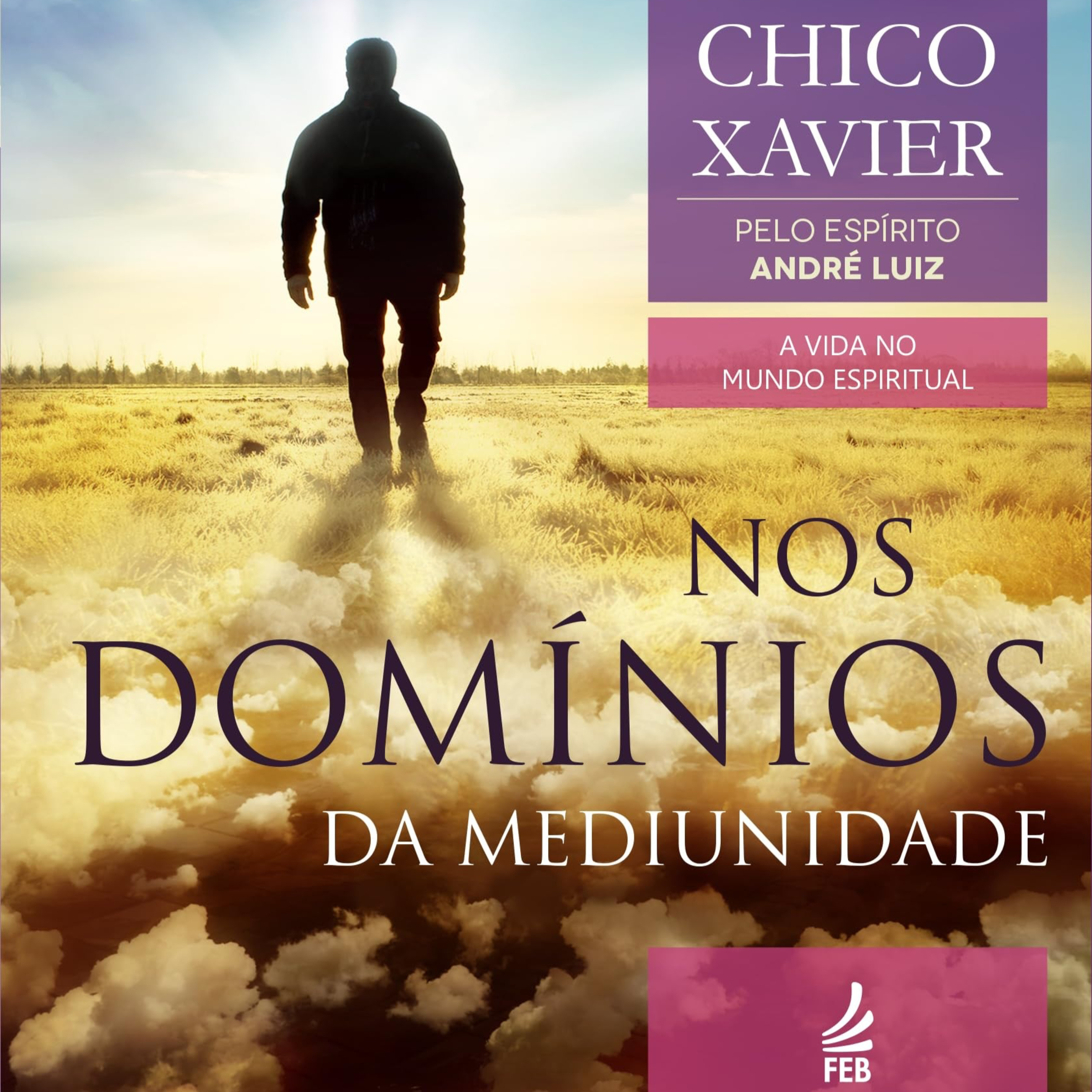 Nos Domínios da Mediunidade Cap. Socorro Espiritual - 13.08.2025 - José Soares episode artwork