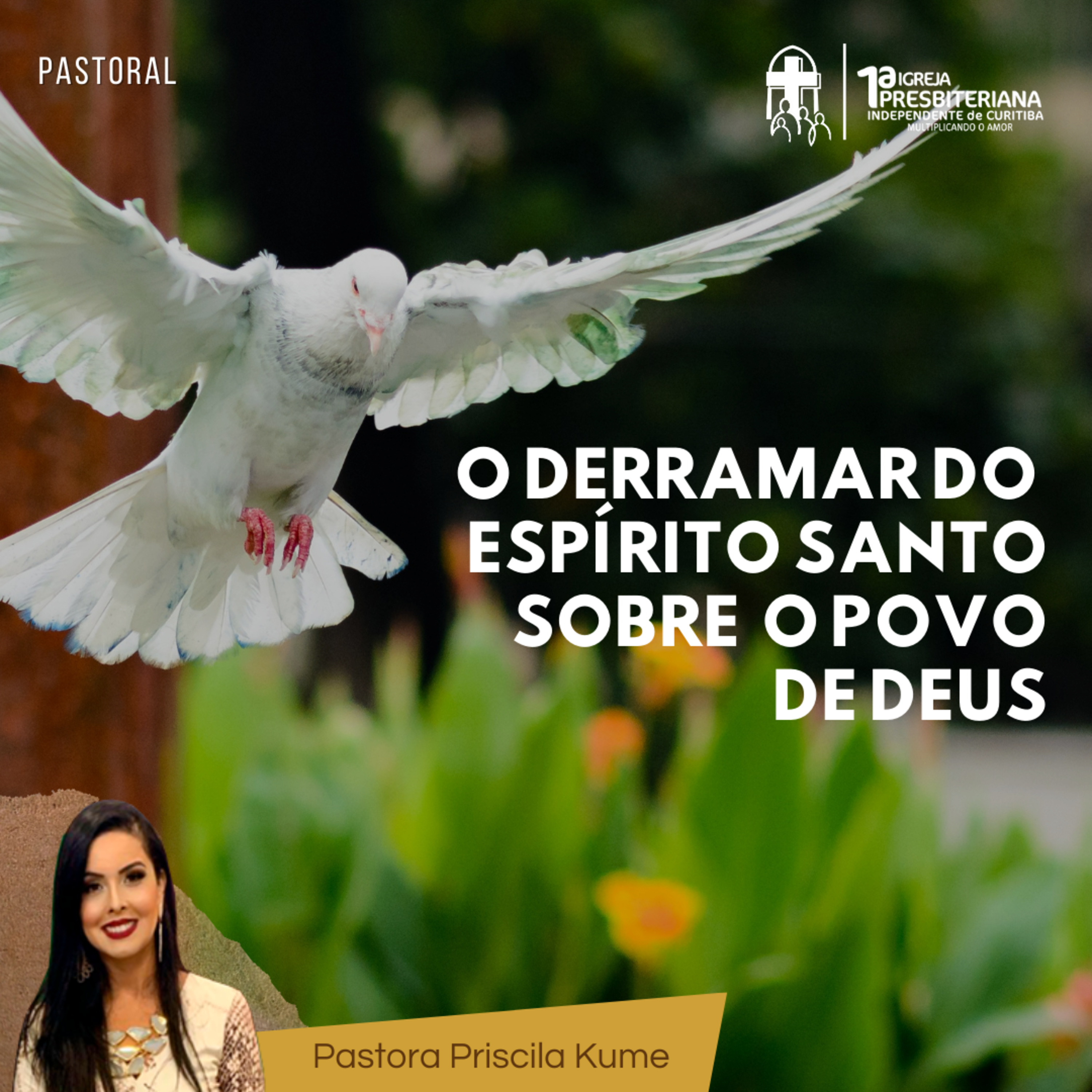 Culto 28/05/2023 - O derramar do Espírito Santo sobre o povo de Deus episode artwork
