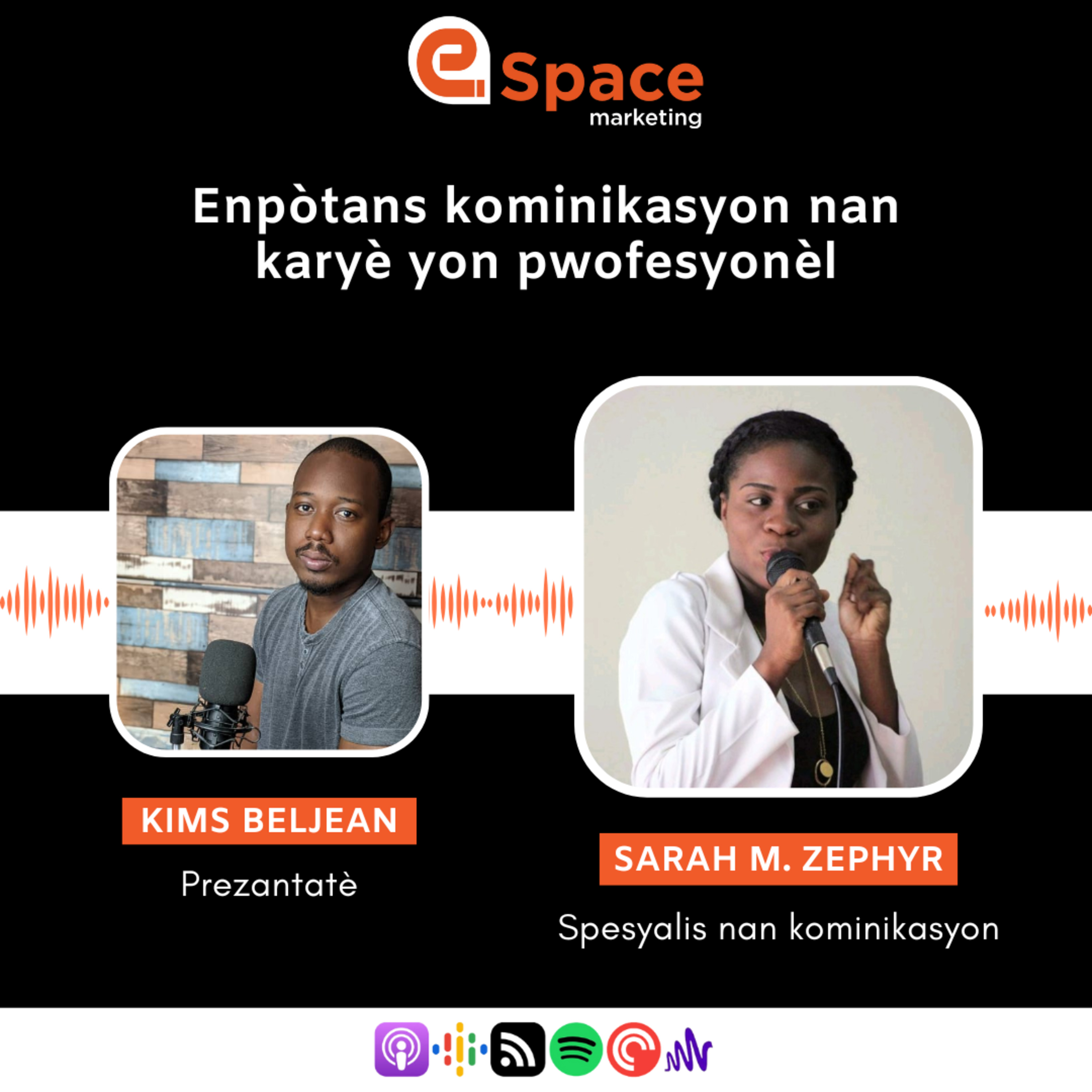  enpòtans kominikasyon nan karyè yon pwofesyonèl | Sarah M Zephyr episode artwork