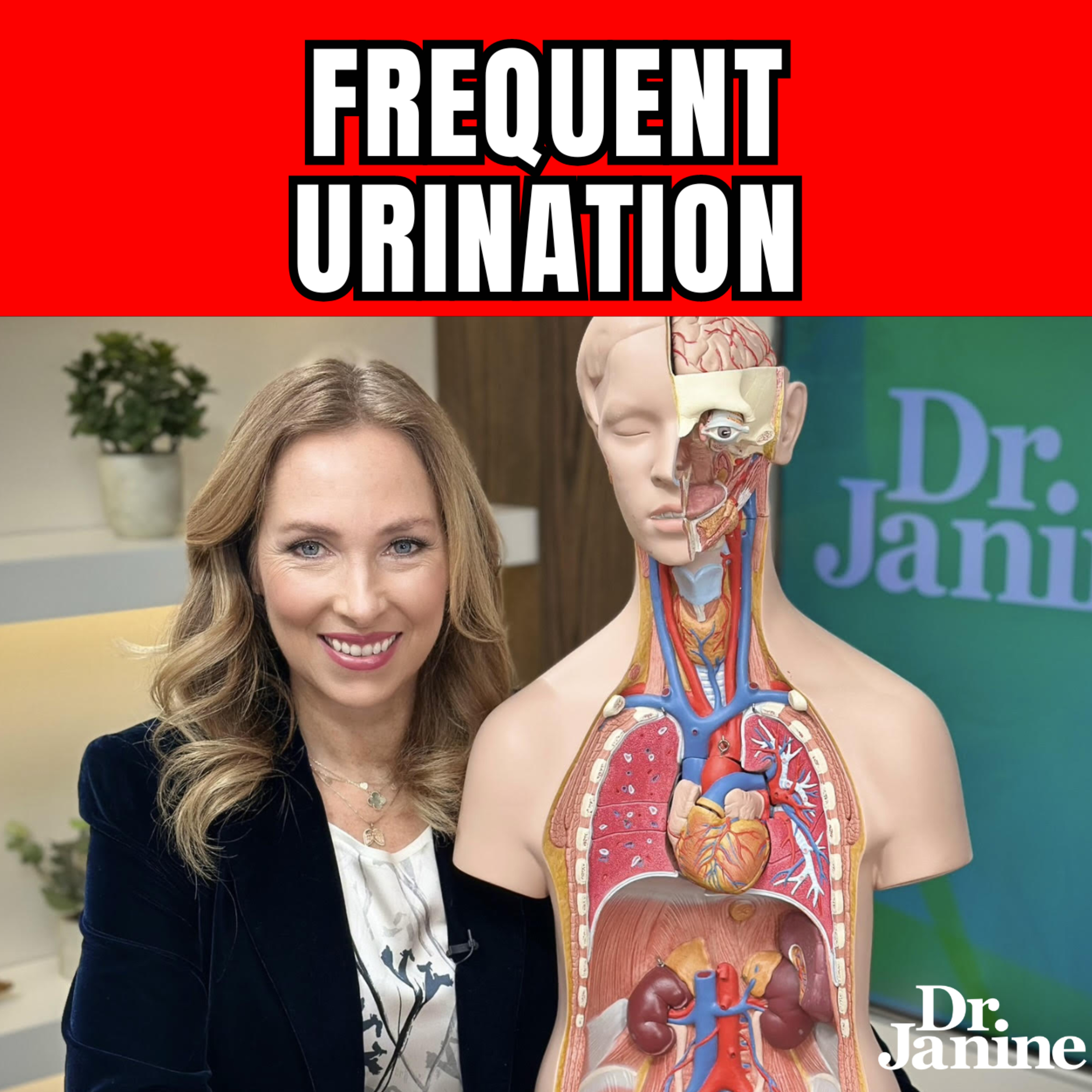 The Dr. Janine Show Podcast