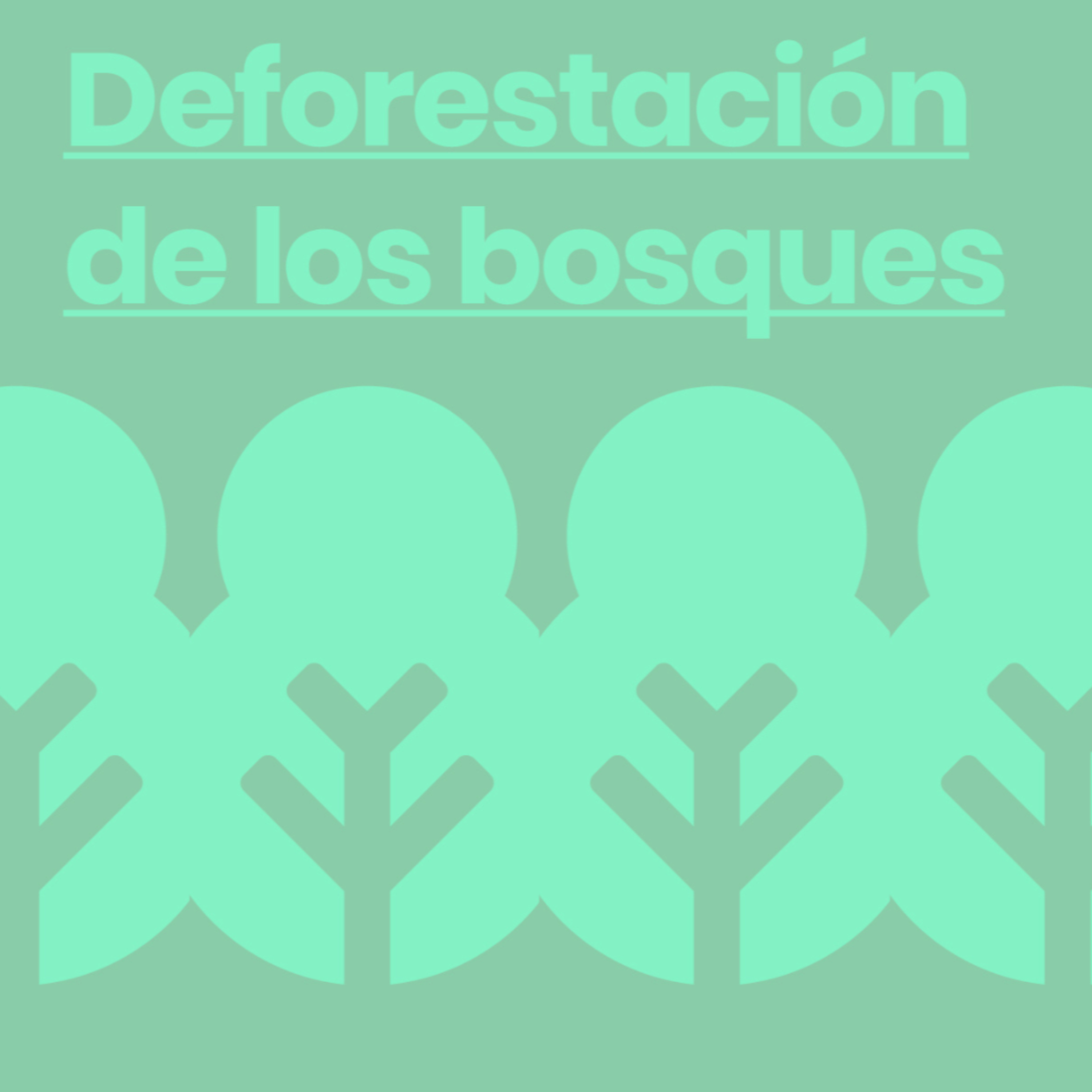 05. Deforestación de los Bosques