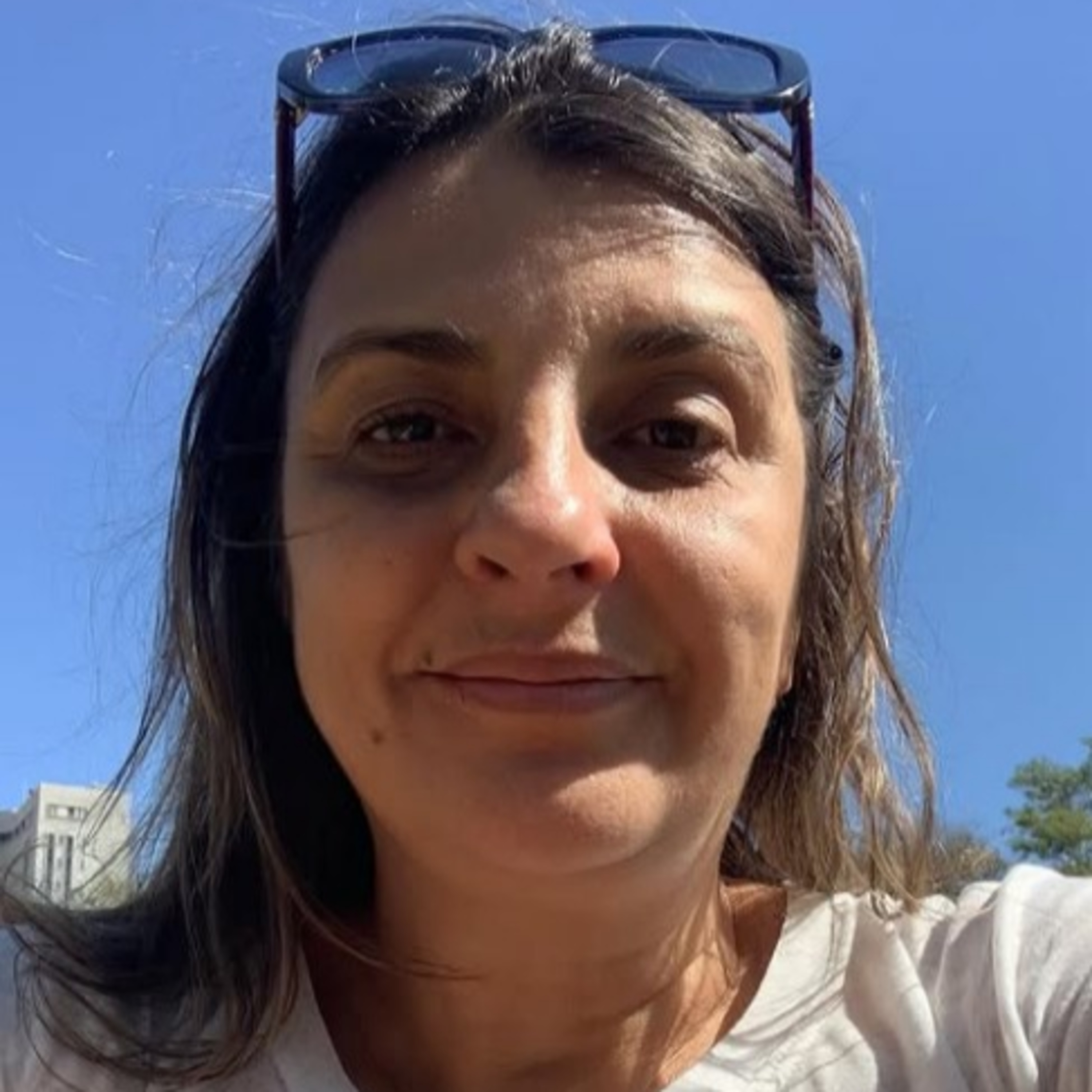 Amigos &Barcinski &Forasta &Paulão.