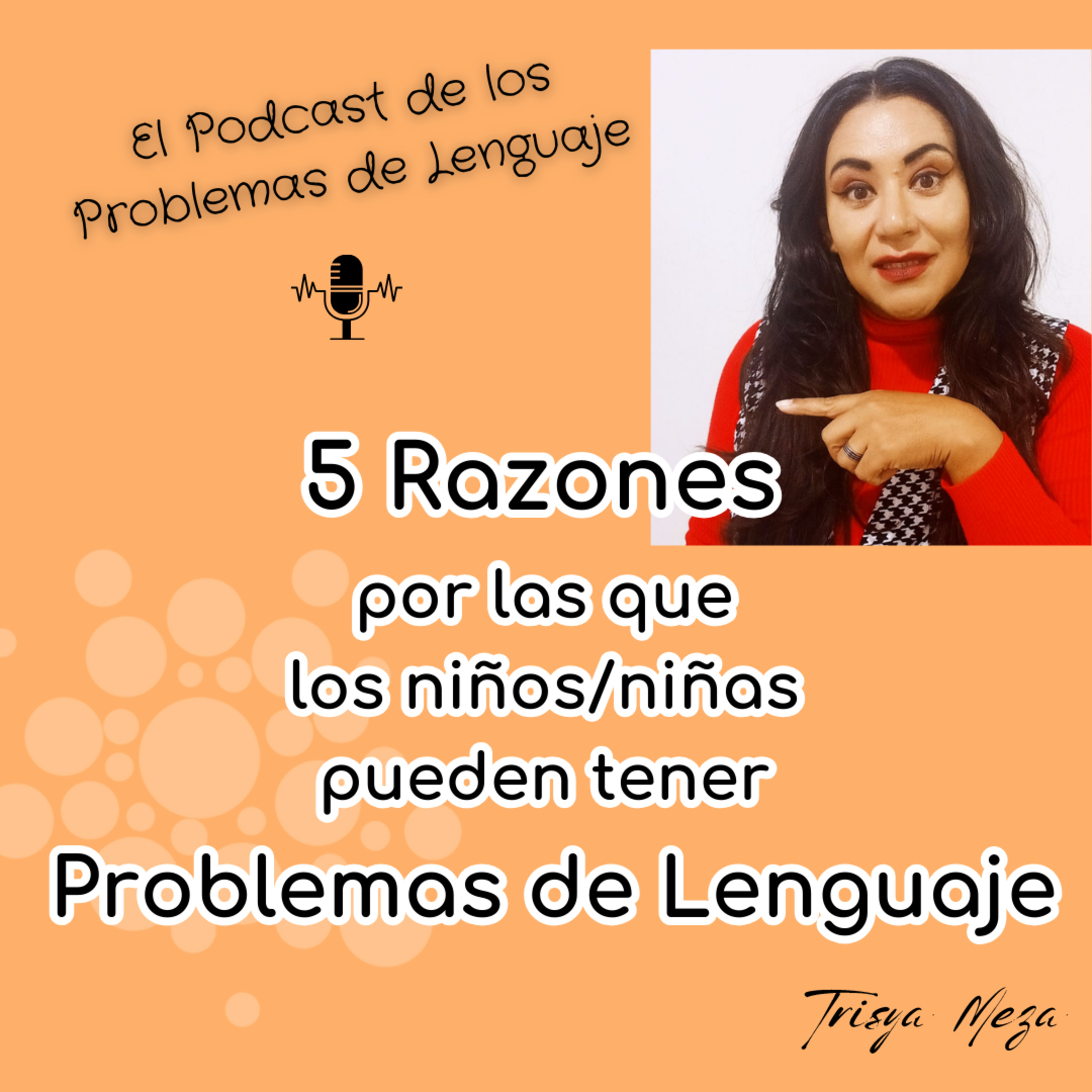 Las 5 Razones de los Problemas de Lenguaje