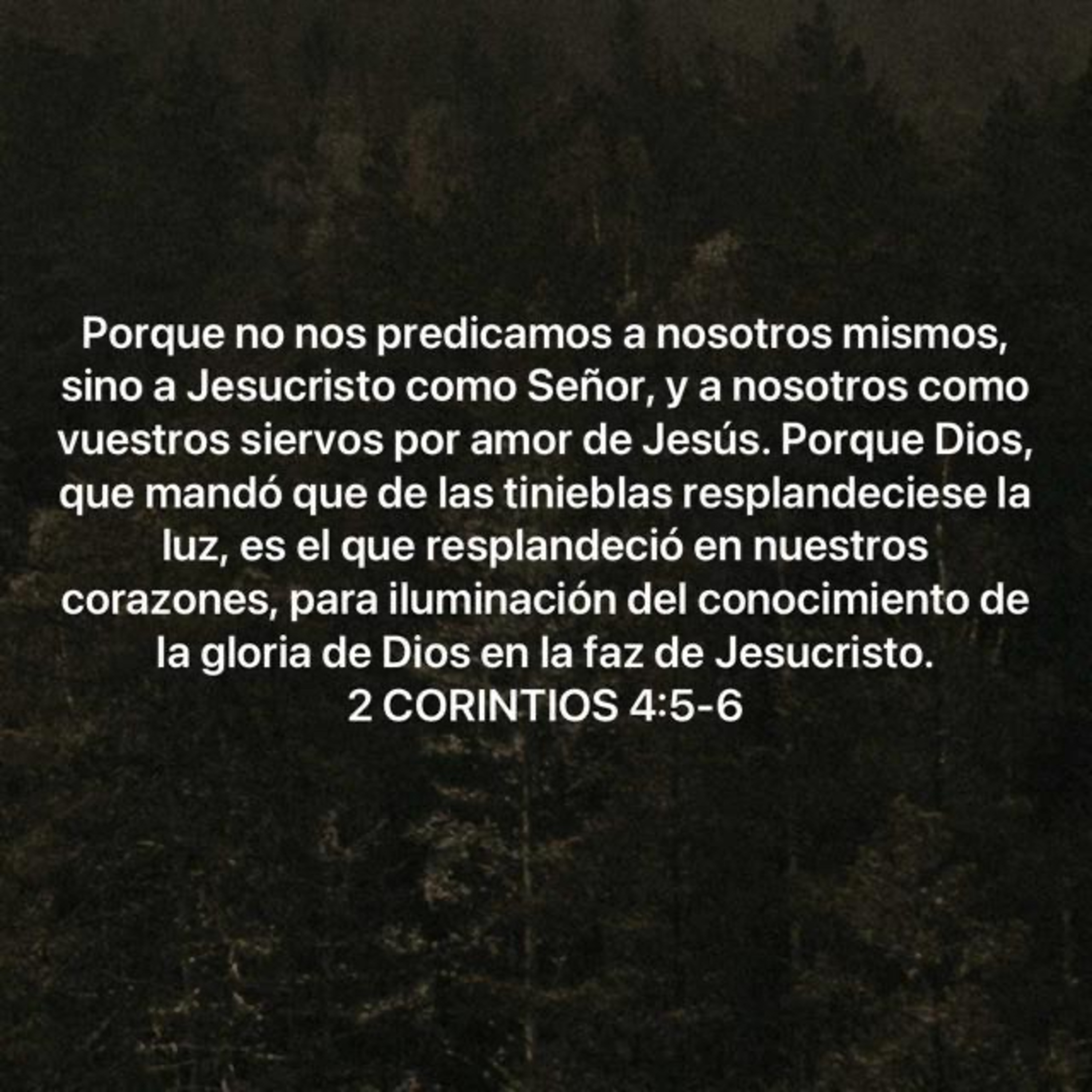 LA LUZ SE HACE GRACIA (E2211).