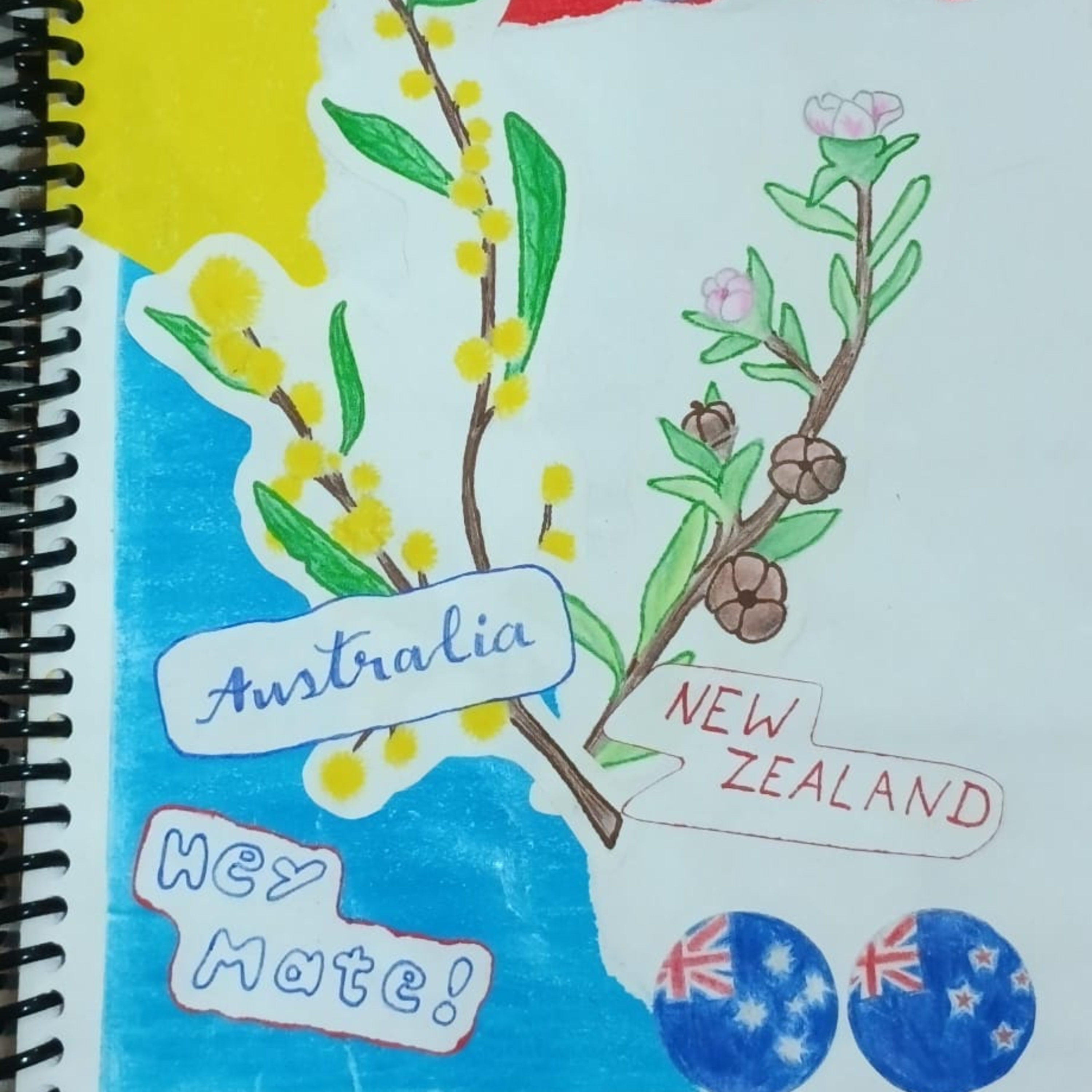 Fanzine Project Podcast - New Zealand - Ep 05 Economics episode artwork
