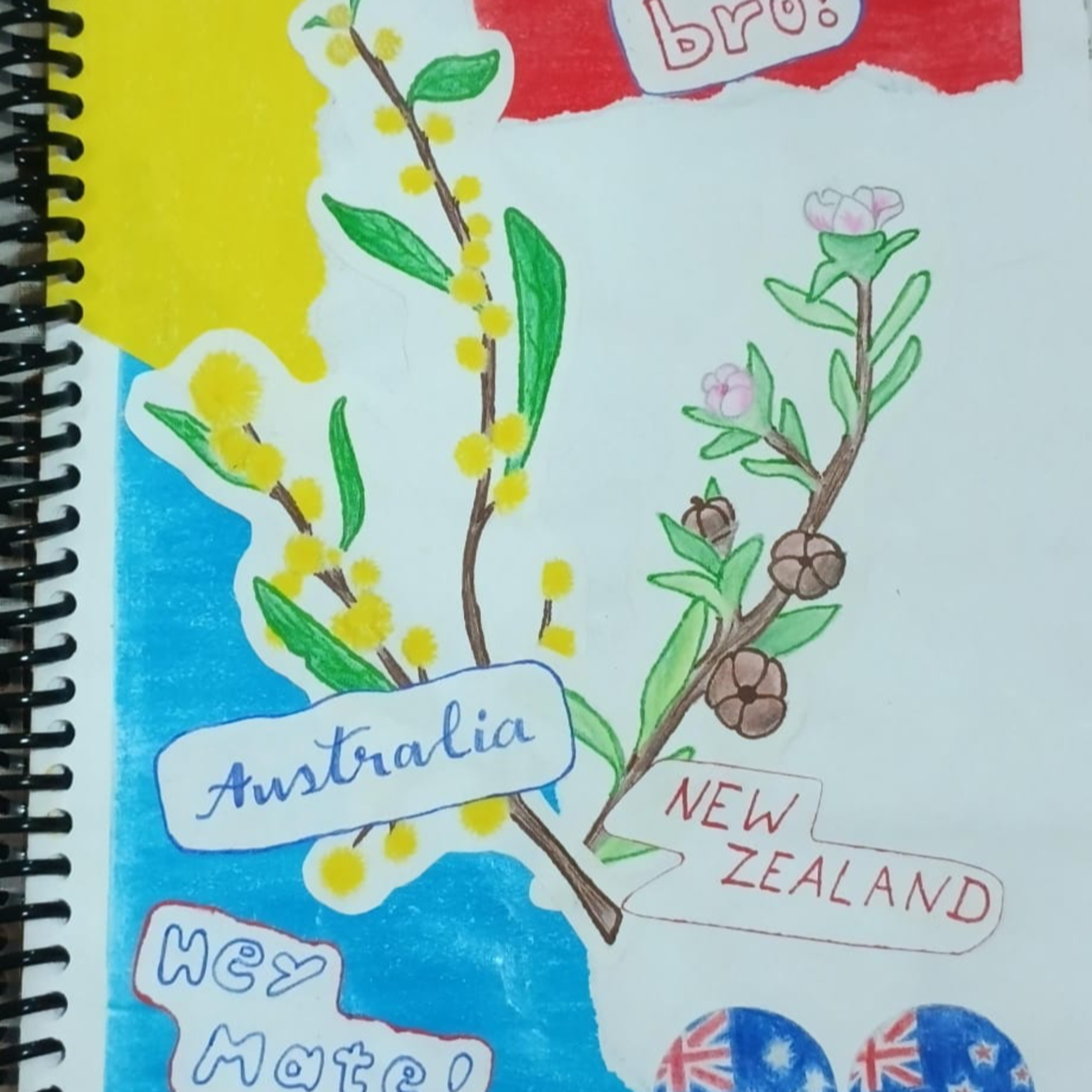 Fanzine Project Podcast - Australia - Ep 03 Geography episode artwork